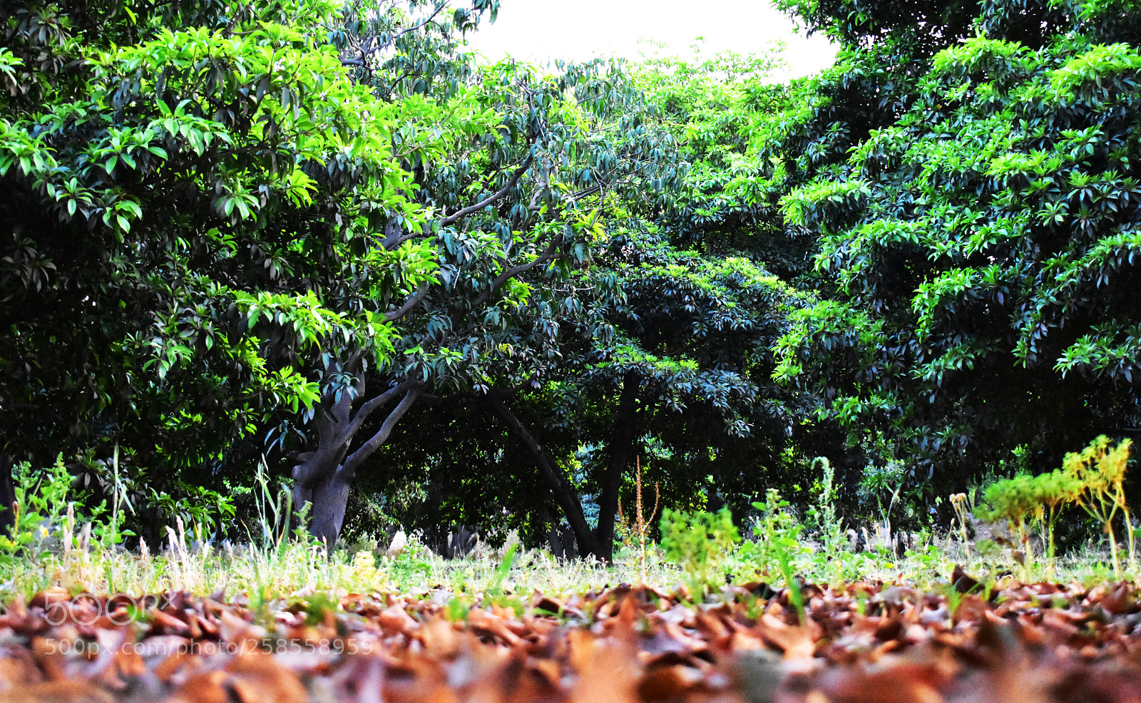 Nikon D3400 sample photo. Dsc photography