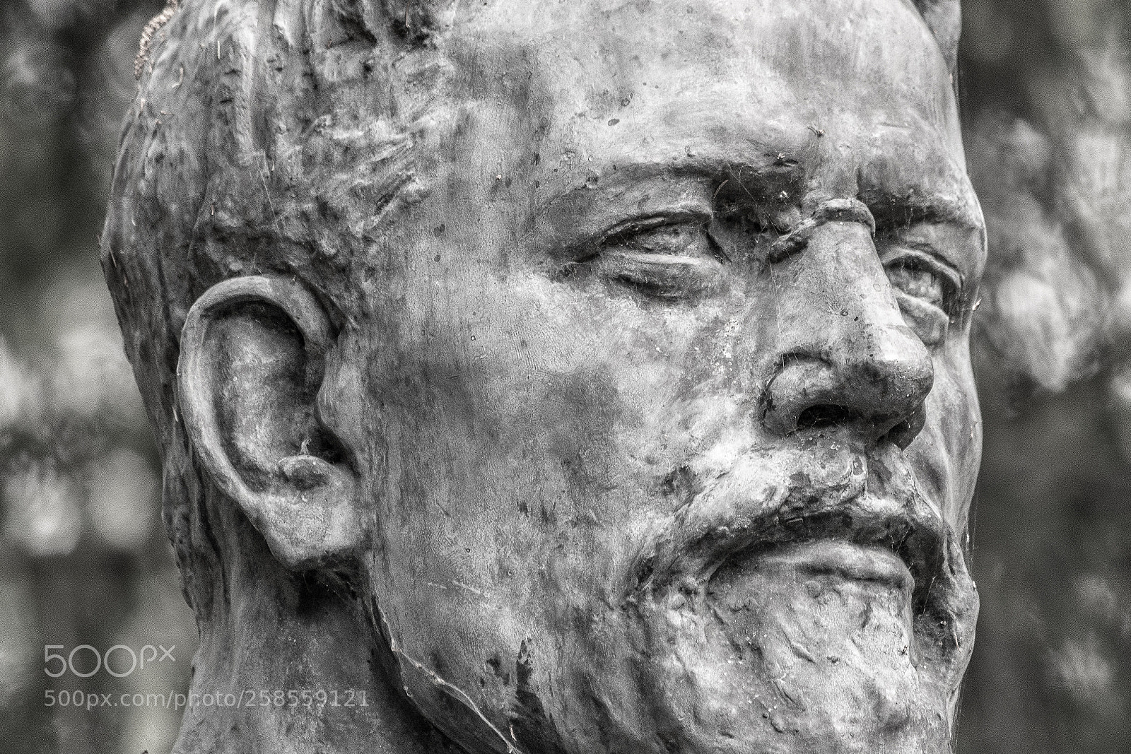 Nikon D500 sample photo. Anton pavlovich chekhov photography
