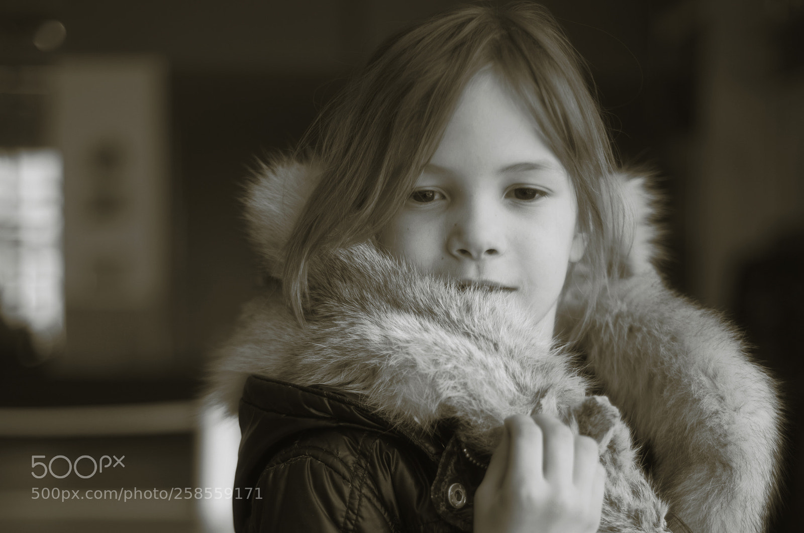 Nikon D810 sample photo. Tamara's fox photography