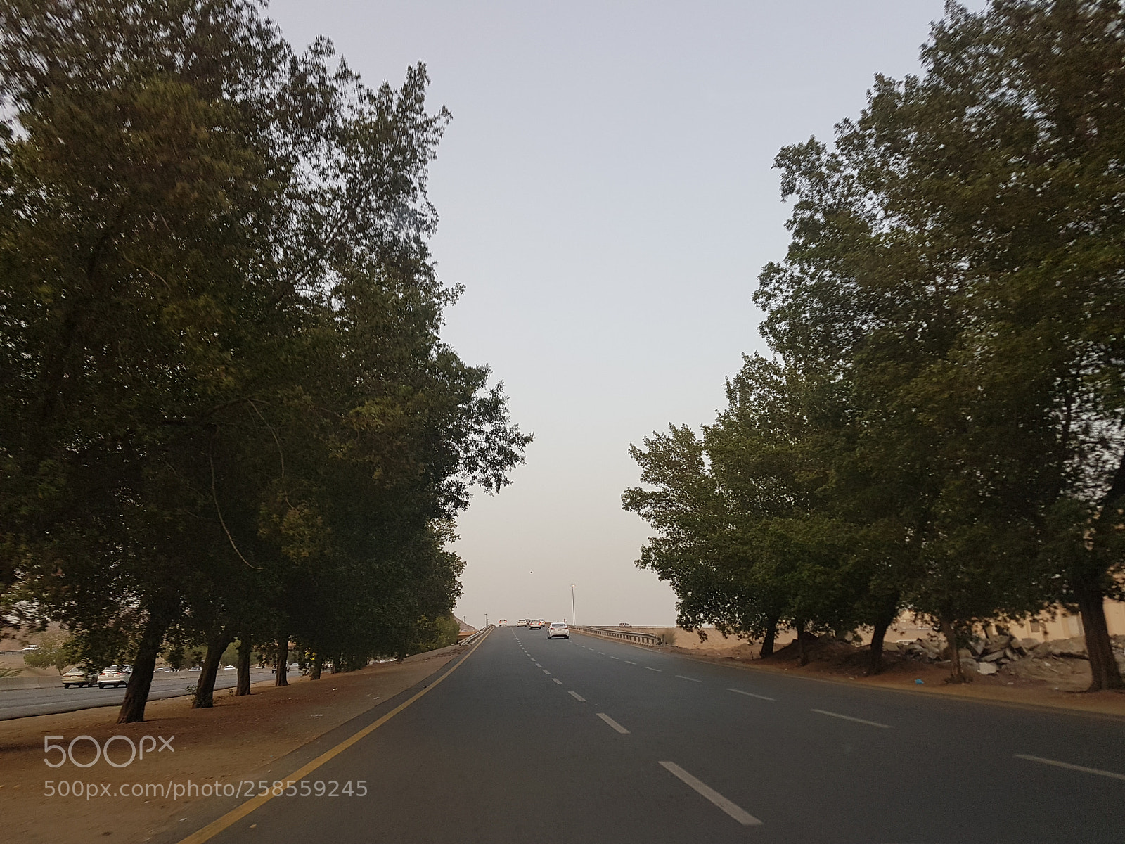 Samsung Galaxy S7 Edge sample photo. Untitled photography
