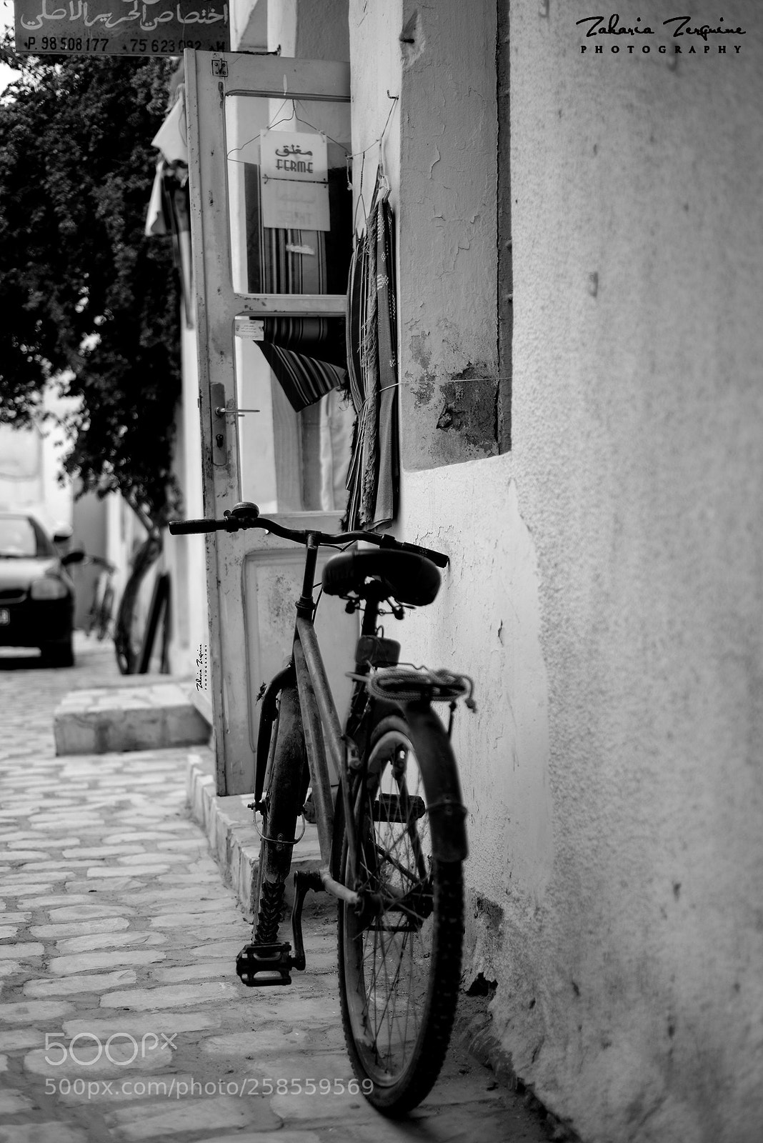 Nikon D800E sample photo. Untitled photography