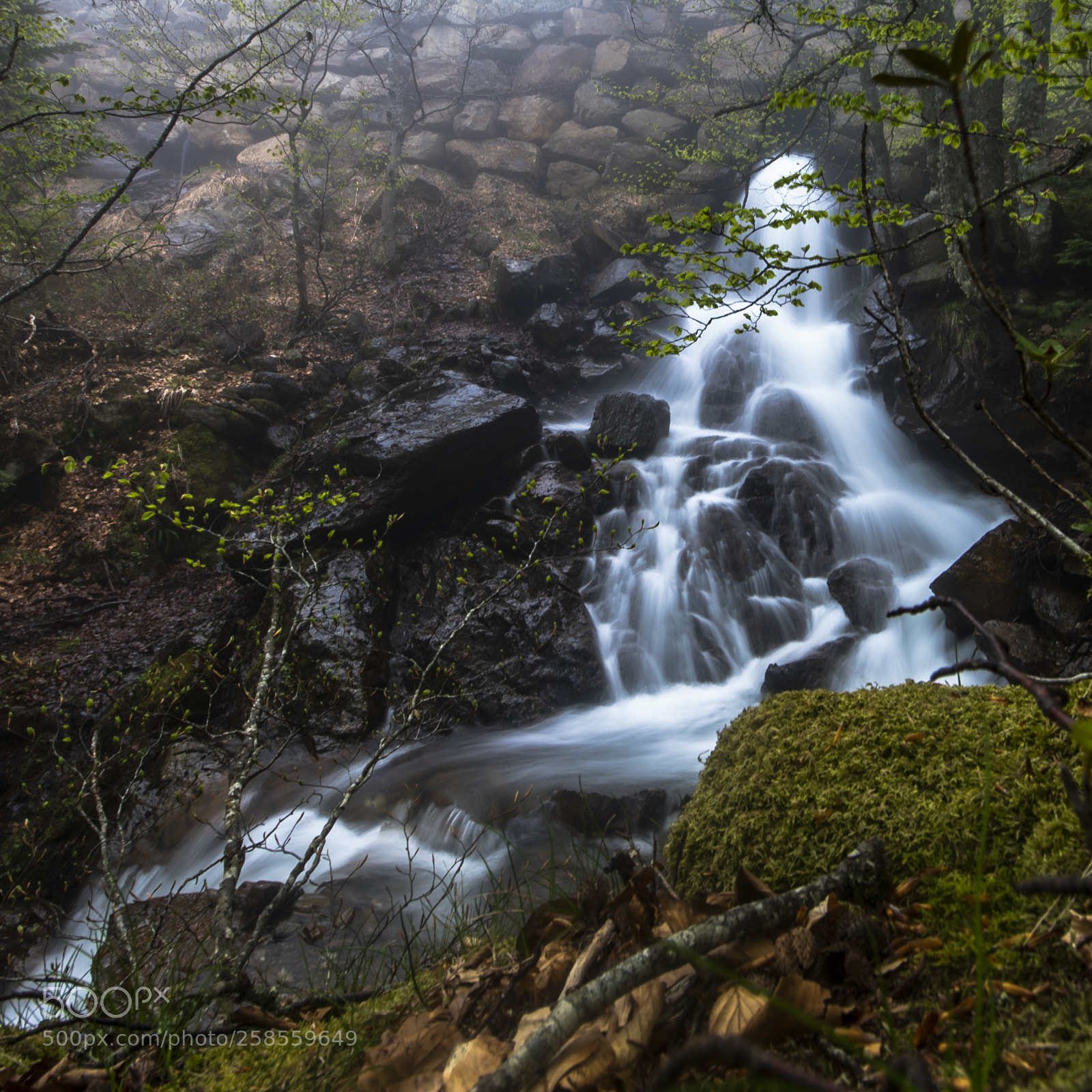 Nikon D810 sample photo. Small waterfall photography