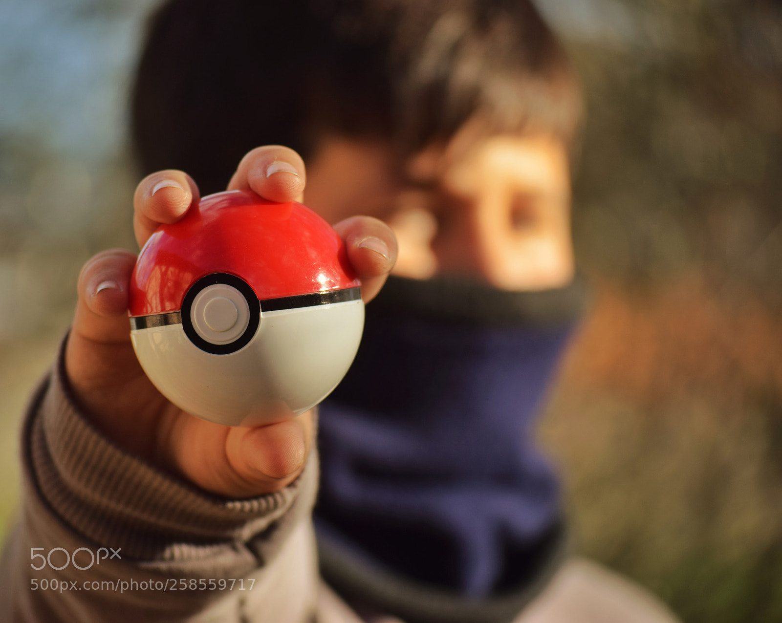 Nikon D5300 sample photo. Untitled photography