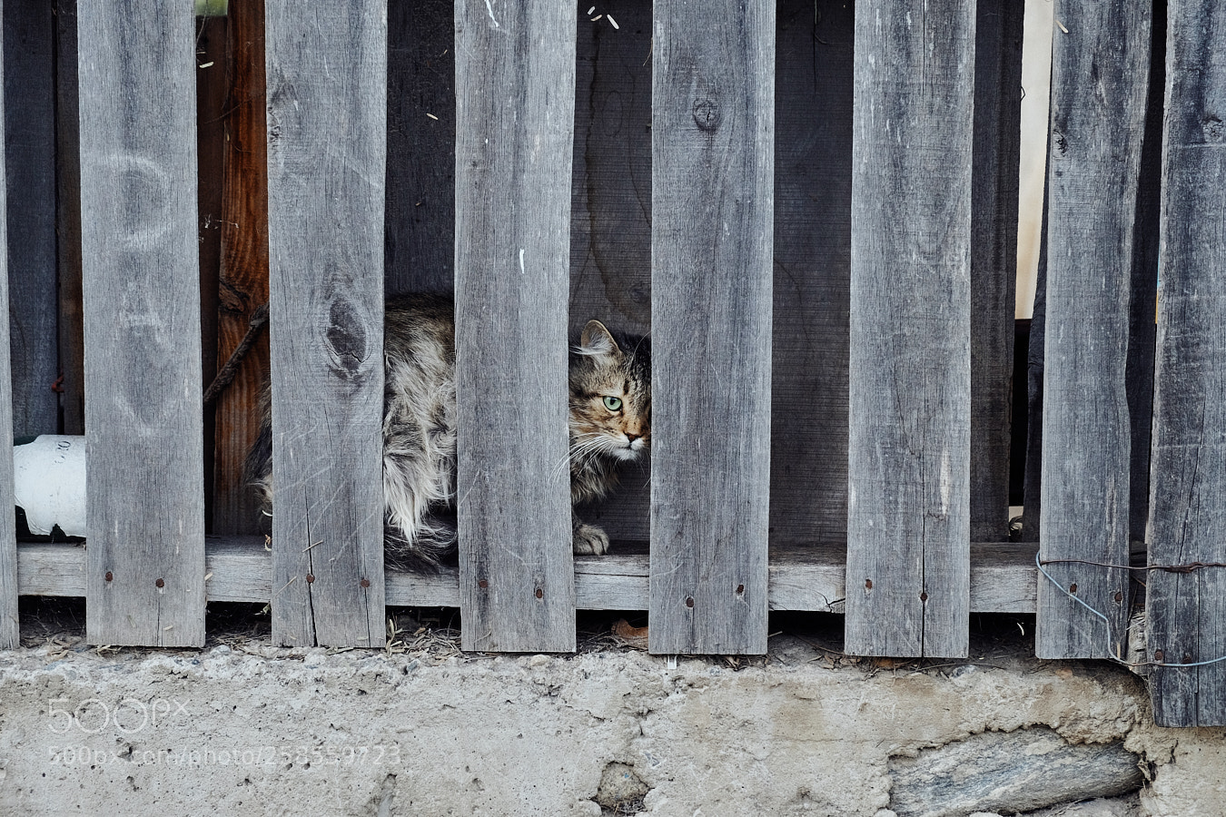 Fujifilm X-T10 sample photo. Untitled photography