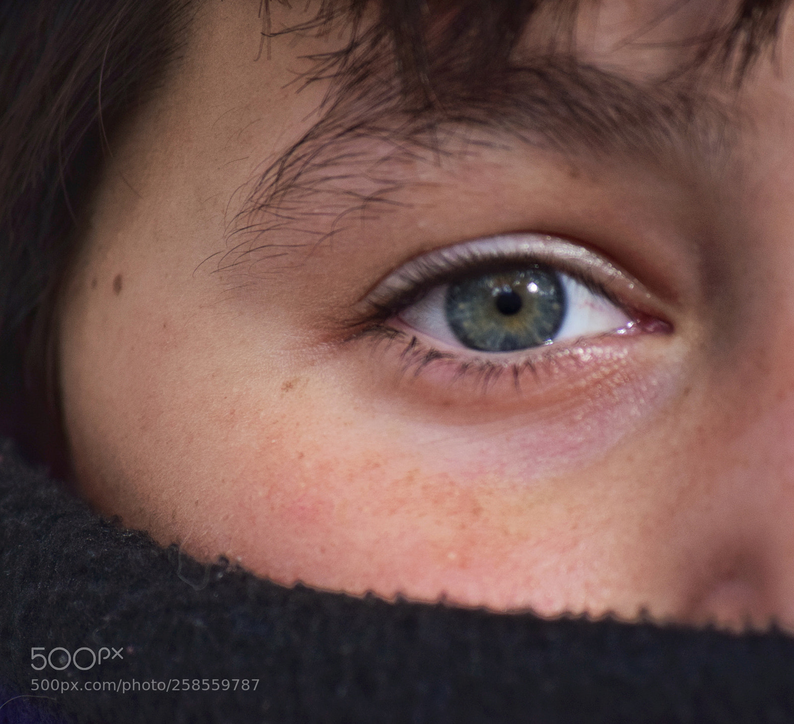 Nikon D5300 sample photo. Untitled photography