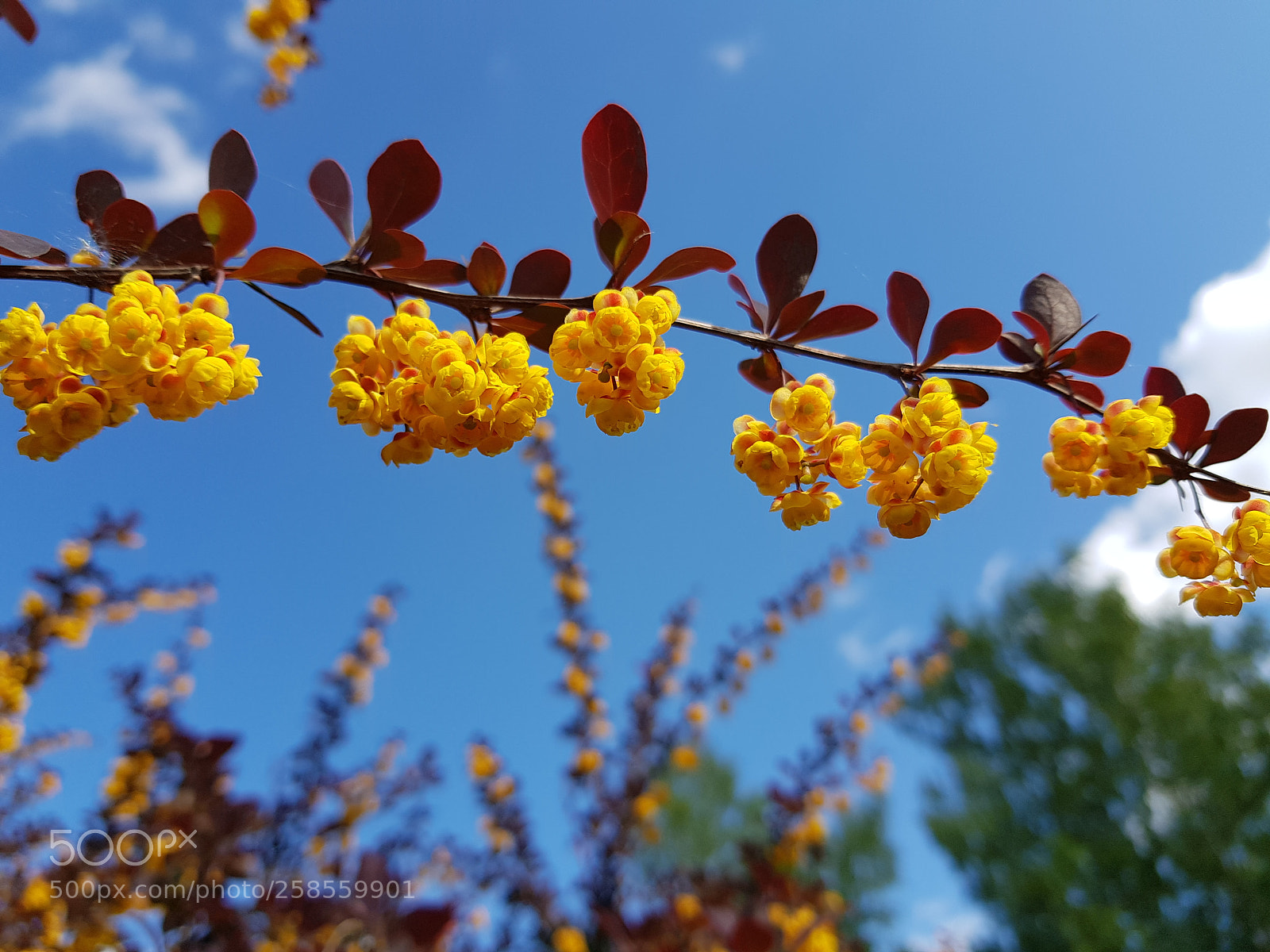 Samsung Galaxy S8+ sample photo. Untitled photography