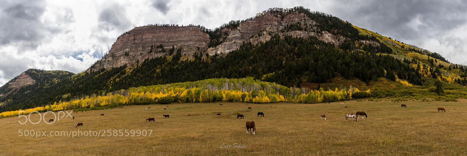Nikon D810 sample photo. Colorado´s fall iii photography