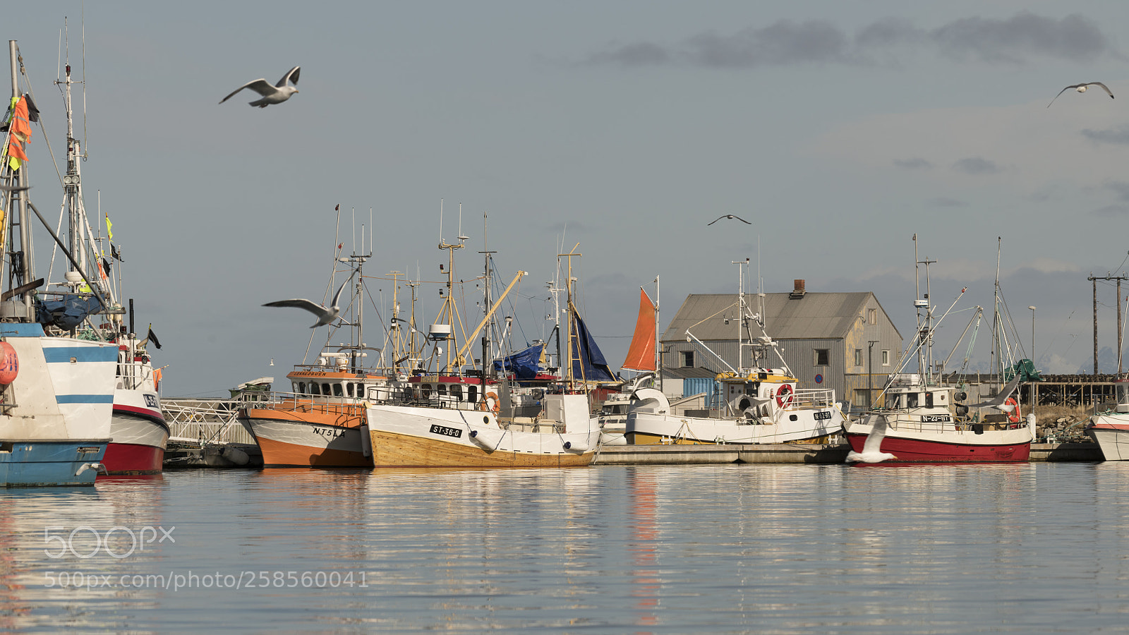 Nikon D850 sample photo. Stille i havna photography
