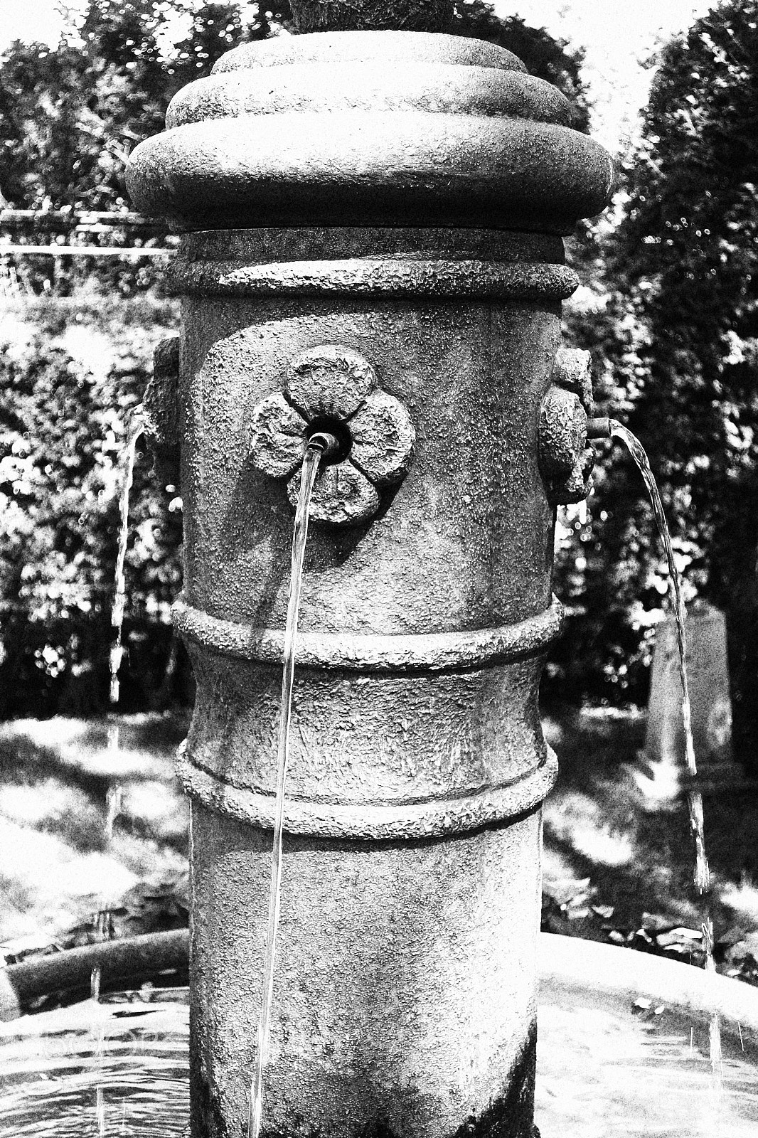 Canon PowerShot G9 X Mark II sample photo
