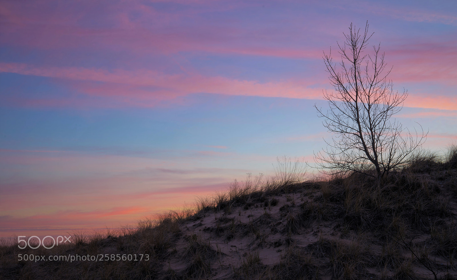 Sony a7 II sample photo. Michigan city indiana photography