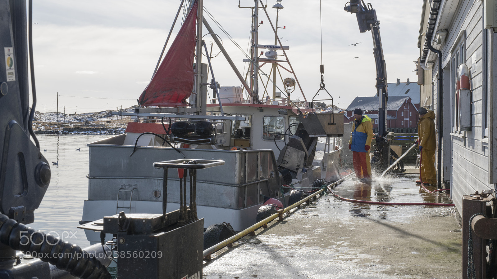 Nikon D850 sample photo. Livet på kaia photography