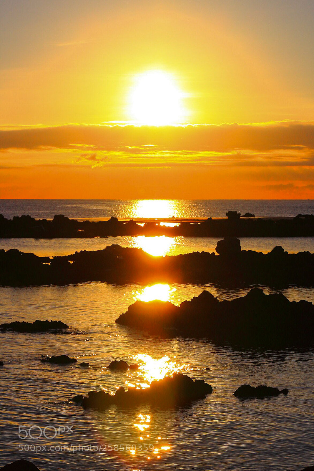 Canon EOS 60D sample photo. Untitled photography