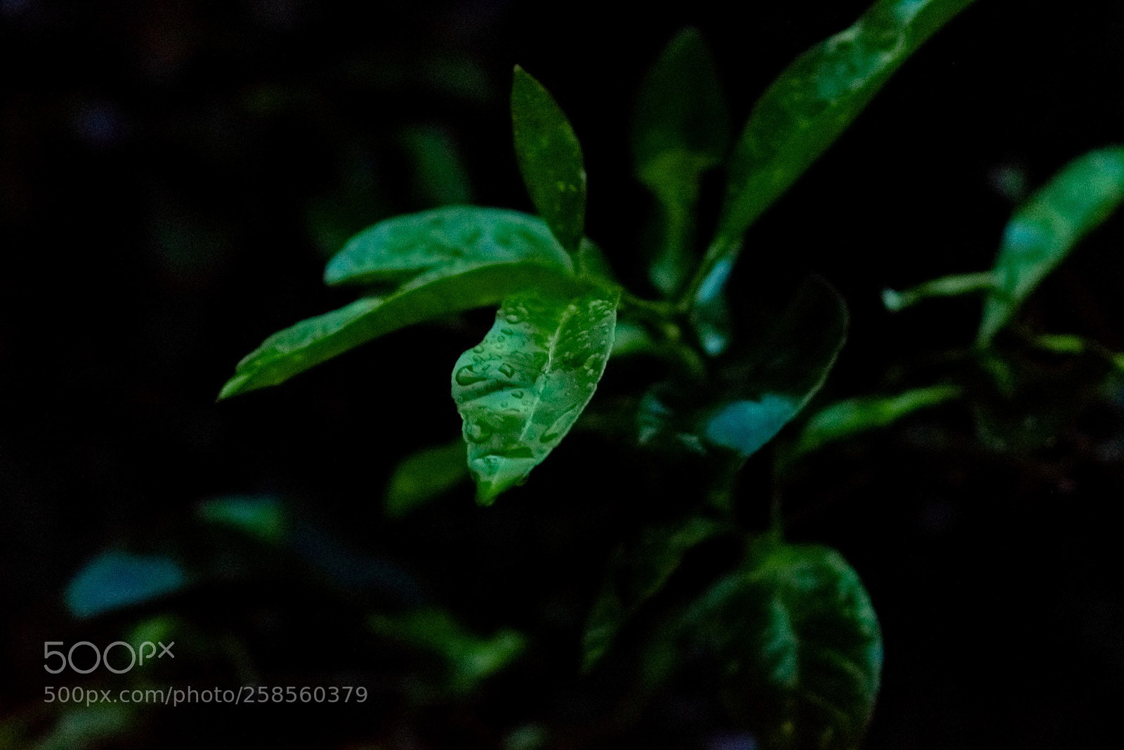 Nikon D3300 sample photo. Untitled photography
