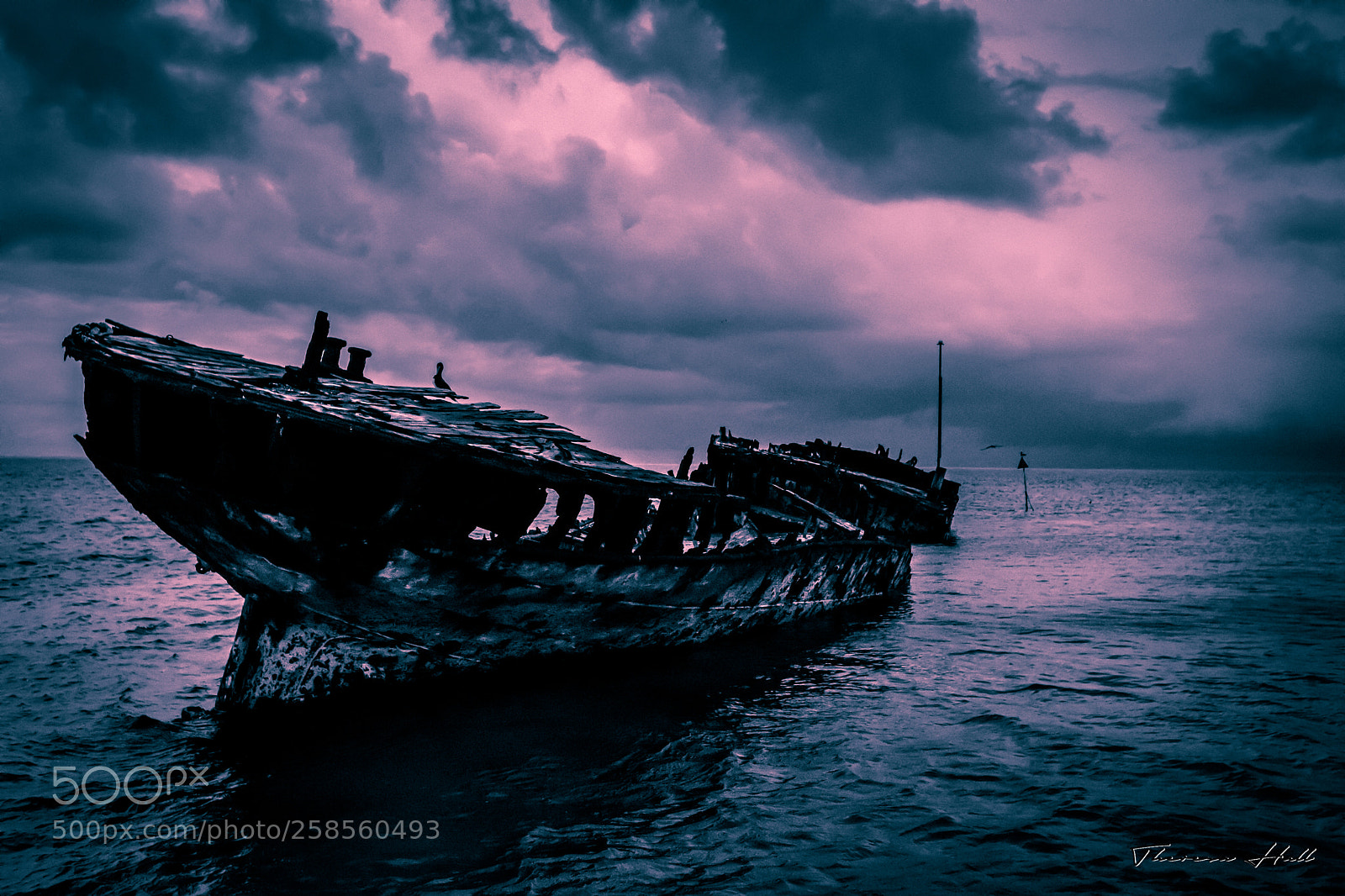 Canon EOS 5D Mark IV sample photo. Hmcs (later hmas) protector photography