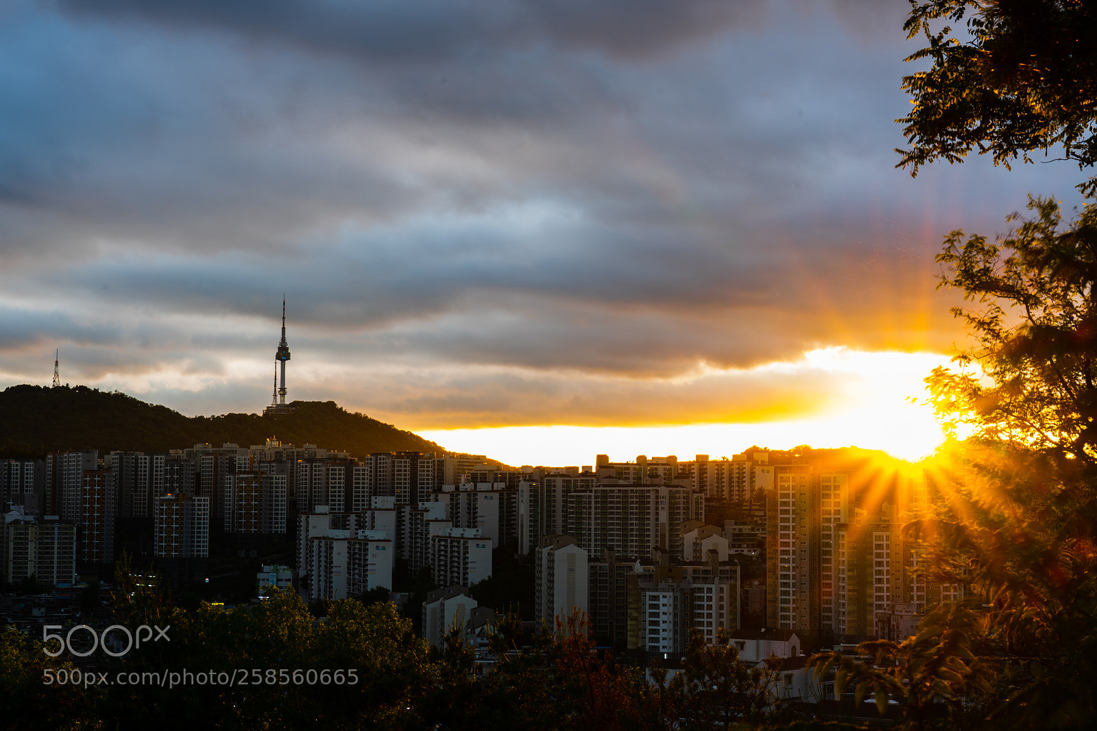 Sony a7 II sample photo. 0009.jpg photography