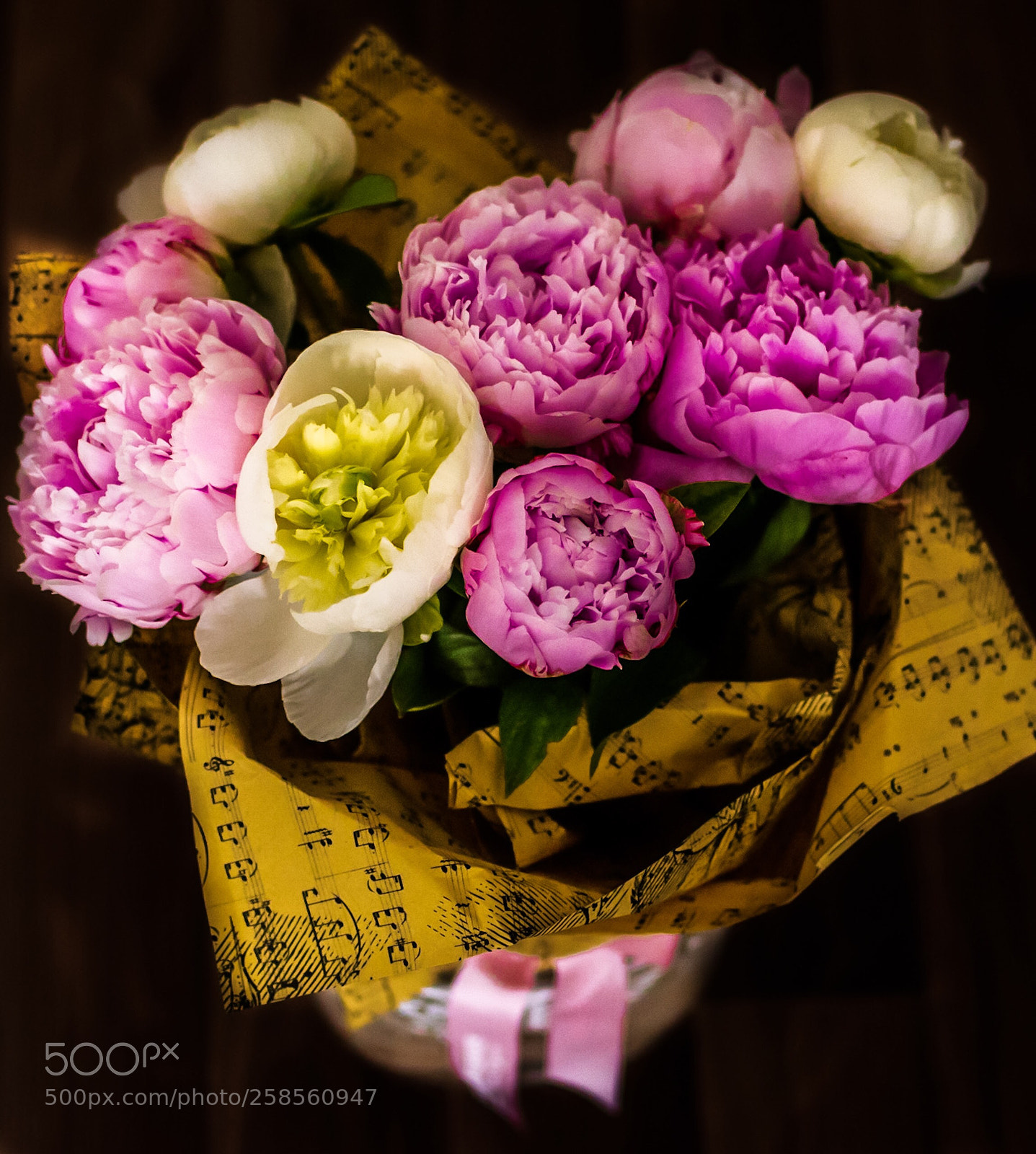 Nikon D5300 sample photo. Bouquet of peonies photography