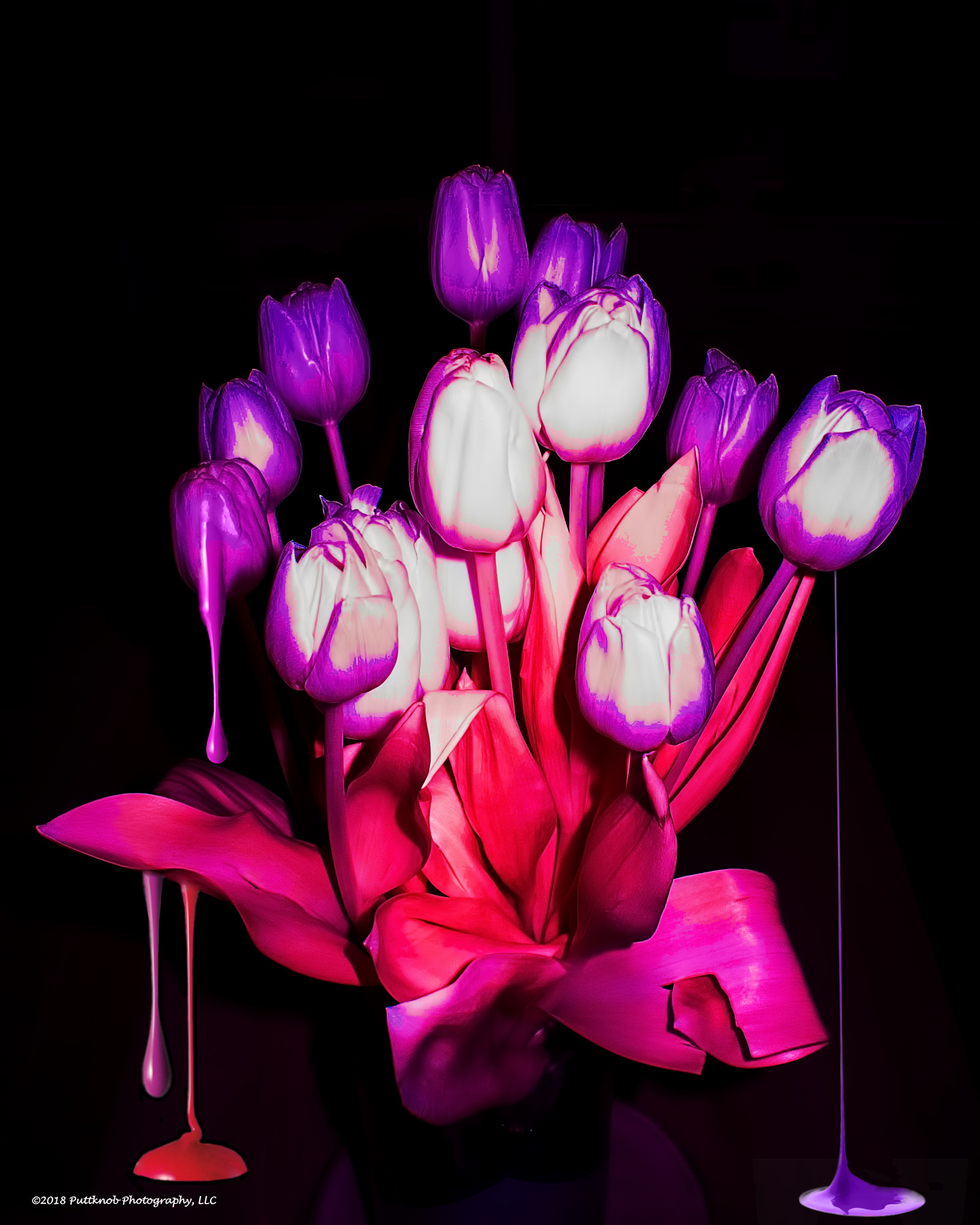 Canon PowerShot G10 sample photo. Painted tulips photography