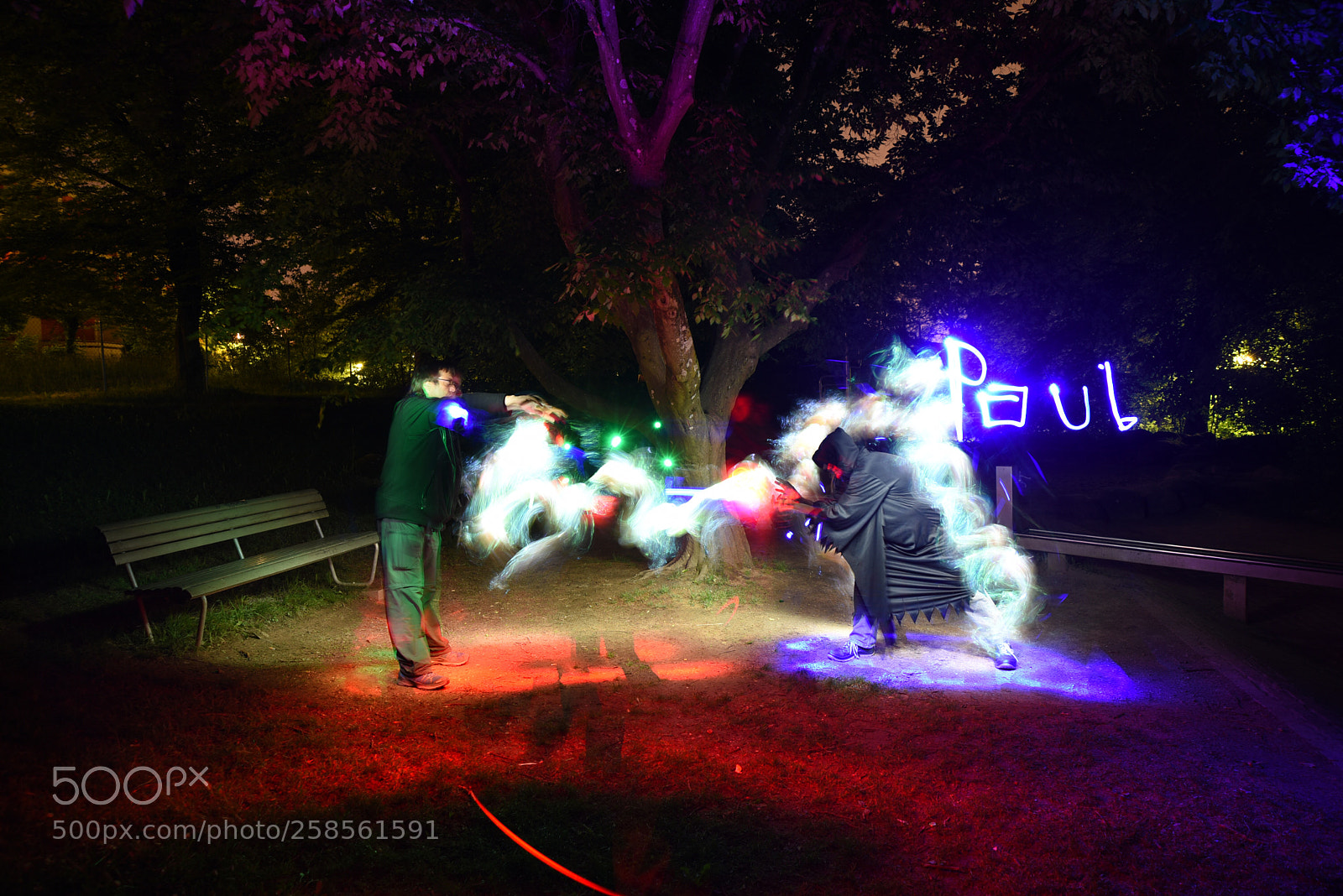 Nikon D750 sample photo. Untitled photography