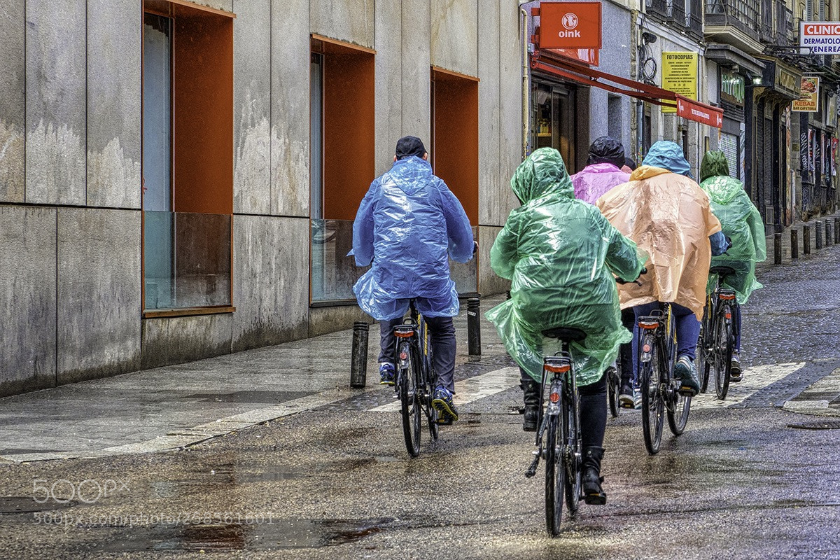 Olympus OM-D E-M1 Mark II sample photo. Rainy day photography