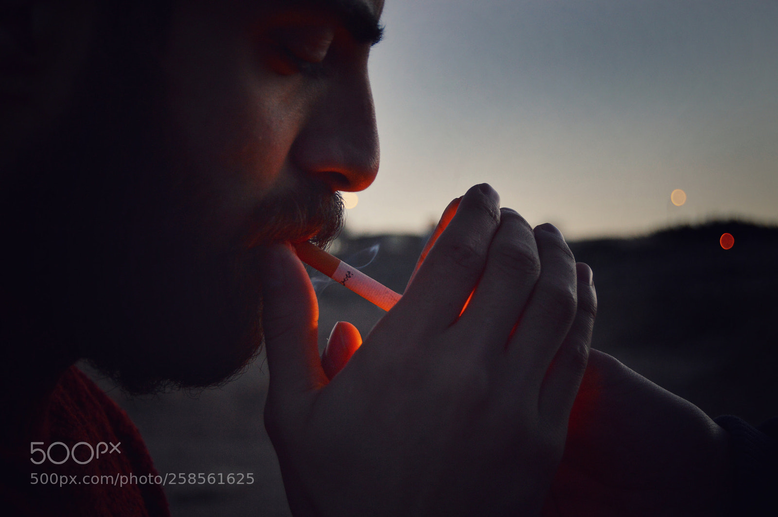 Nikon D3200 sample photo. Photo by mojtaba_athari photography