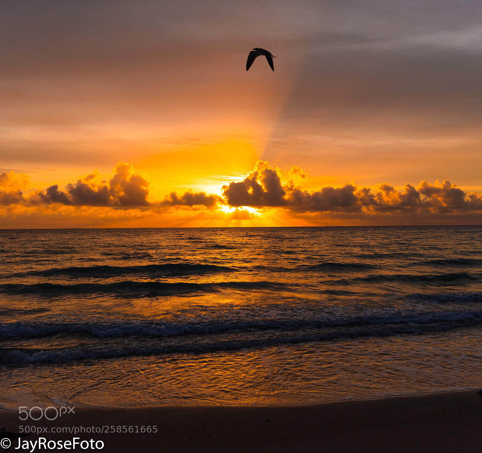Canon EOS 5DS R sample photo. Morning flyover  photography