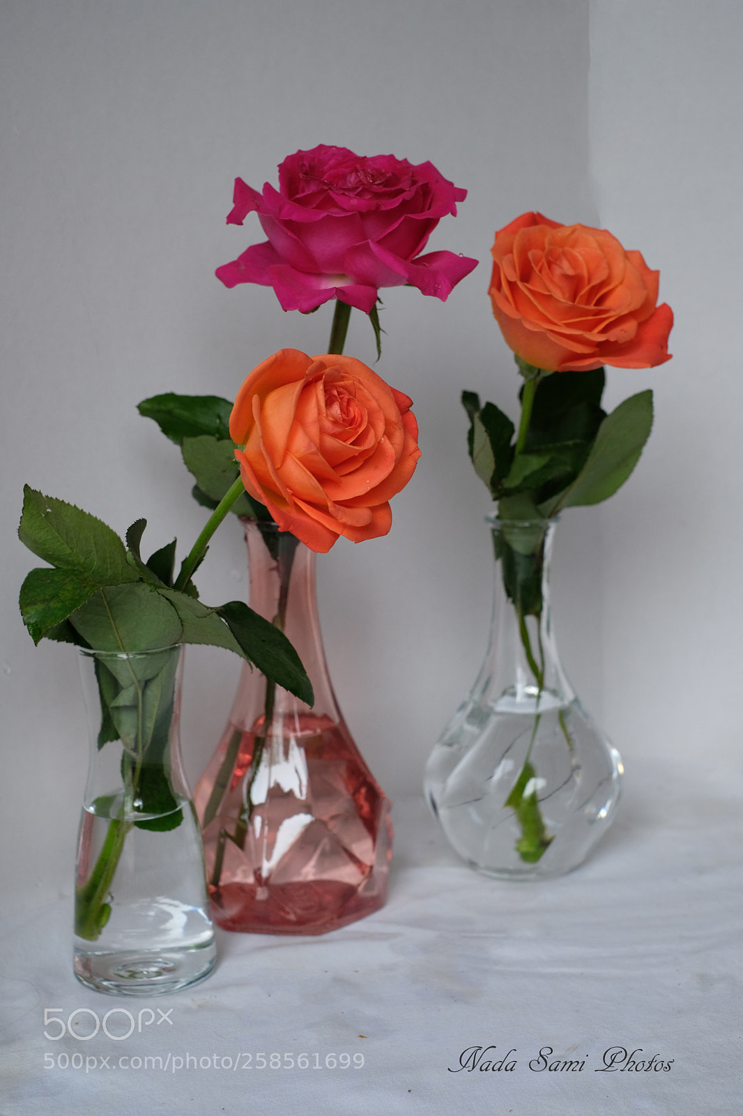 Fujifilm X-T2 sample photo. Three roses photography