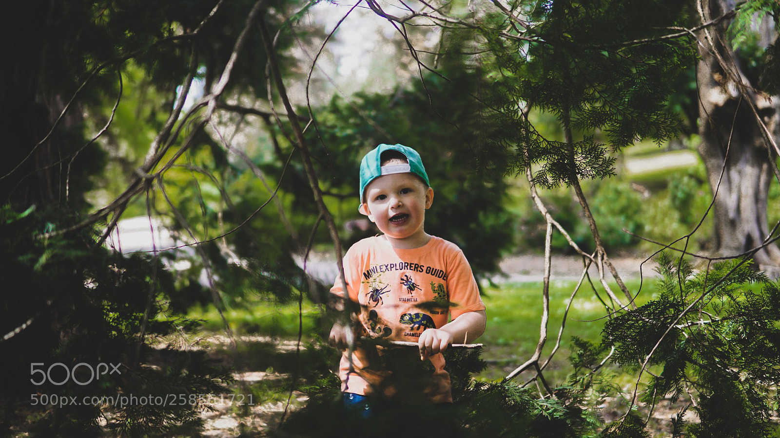Sony a6000 sample photo. Between branches photography