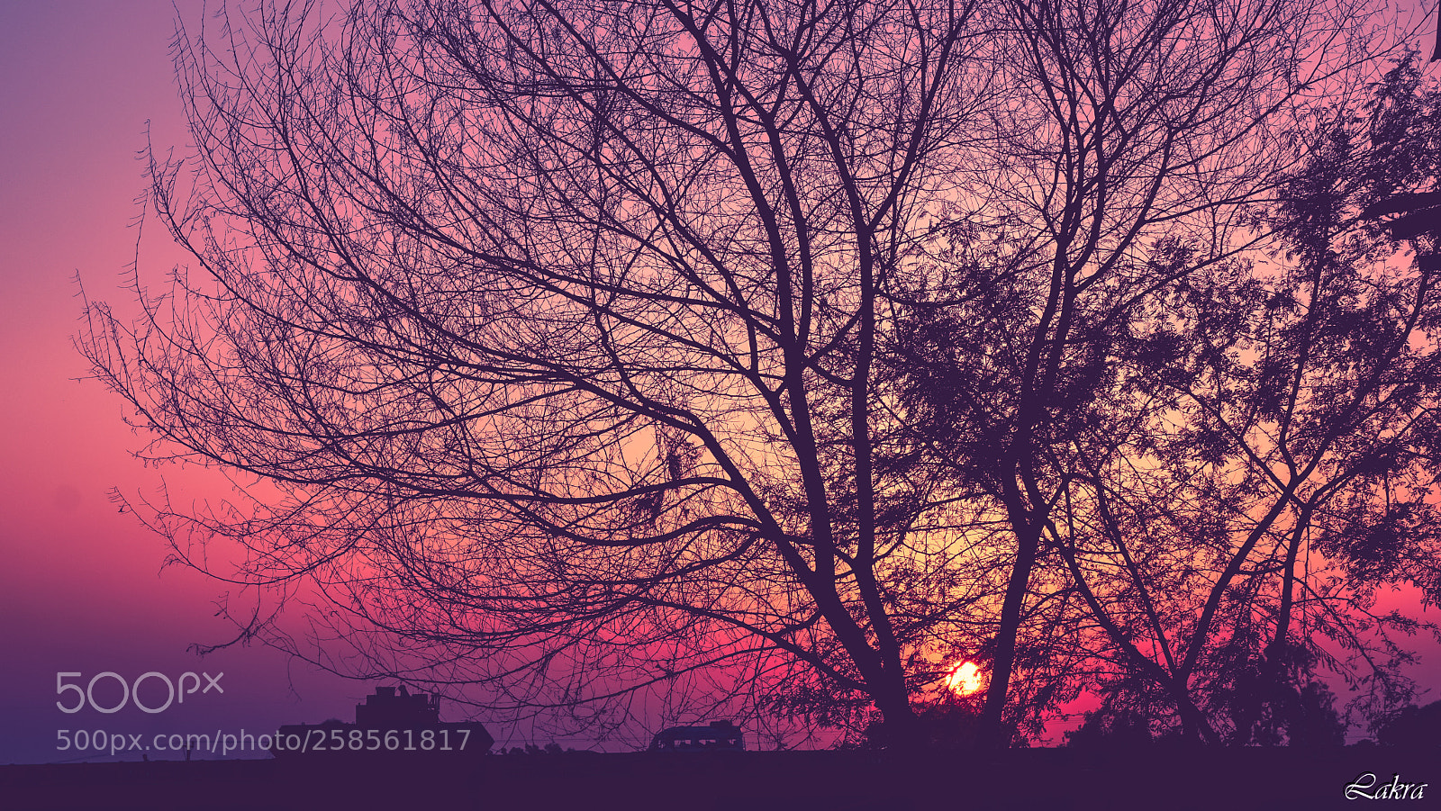 Sony a6000 sample photo. 9.jpg photography