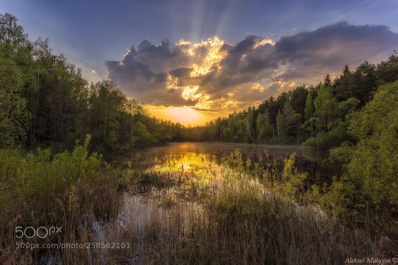 Canon EOS 6D sample photo. Spring sunset on a photography