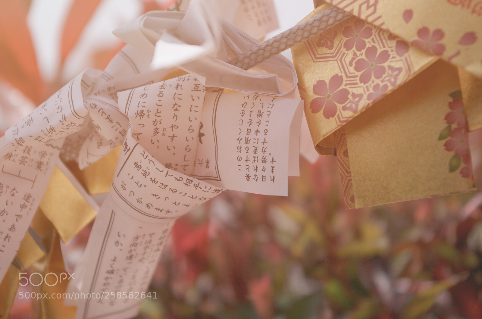 Pentax K-30 sample photo. I think it will photography