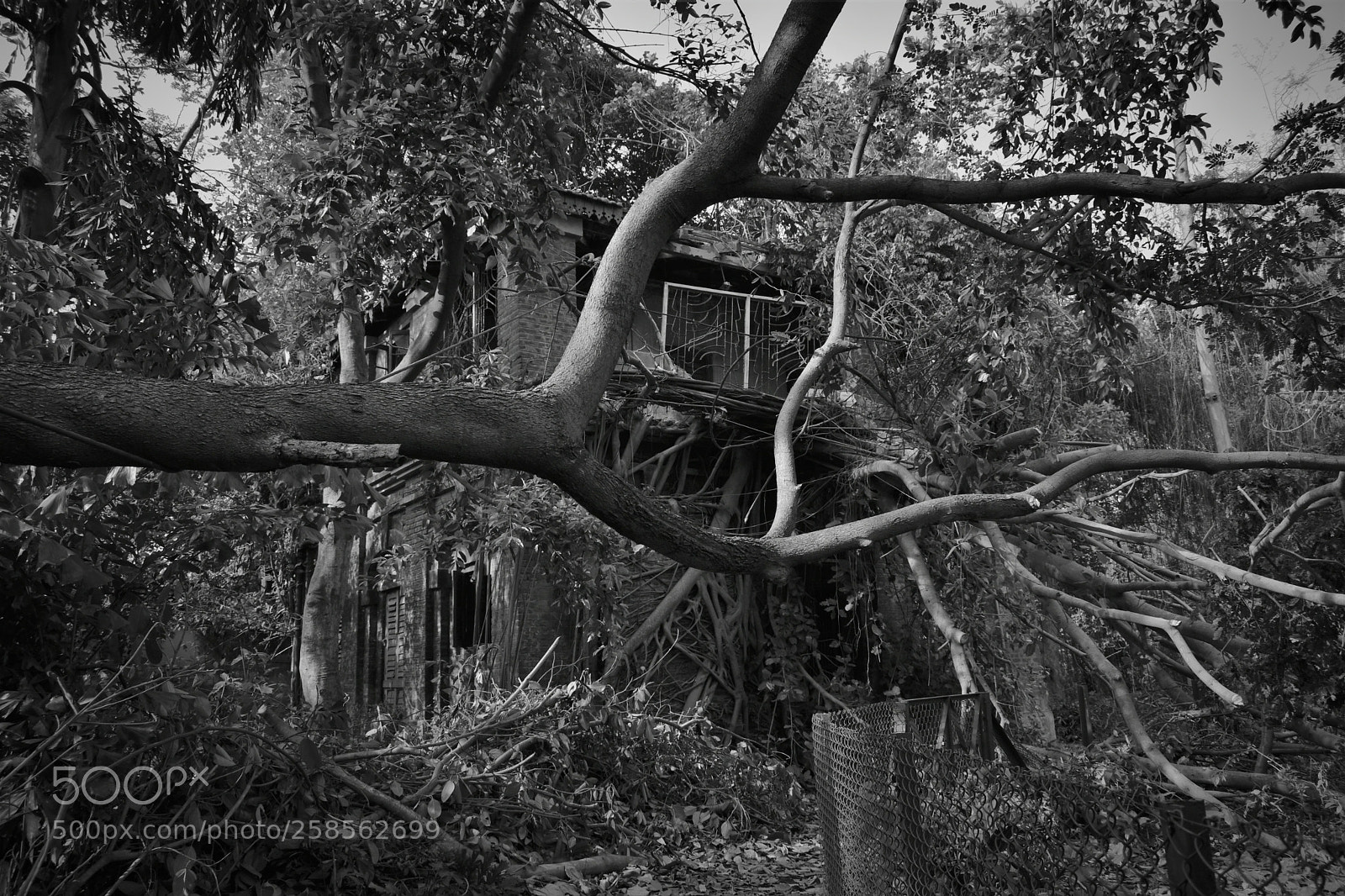 Nikon D3400 sample photo. Remnants of humanity photography
