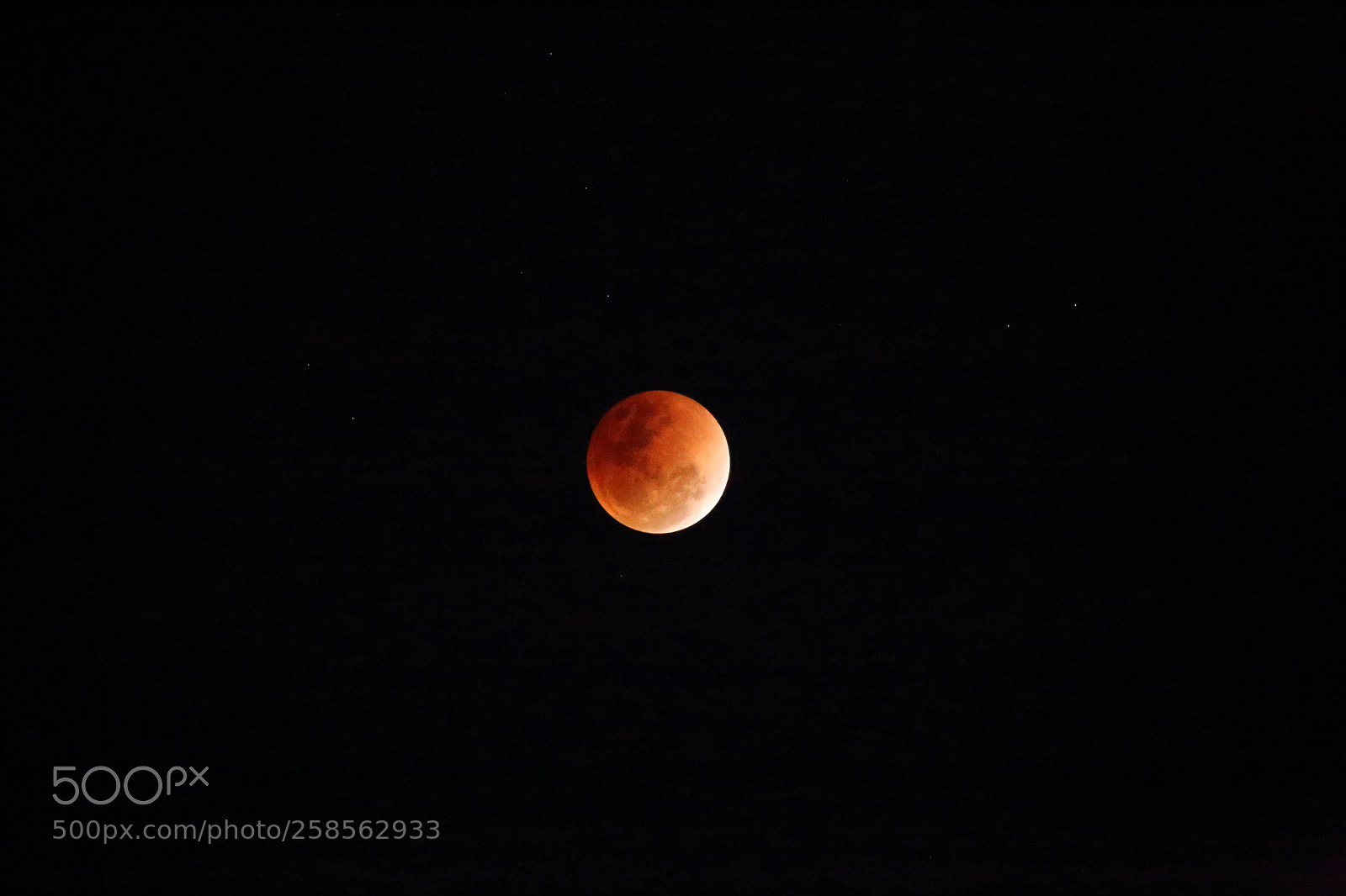 Canon EOS 6D sample photo. Untitled photography