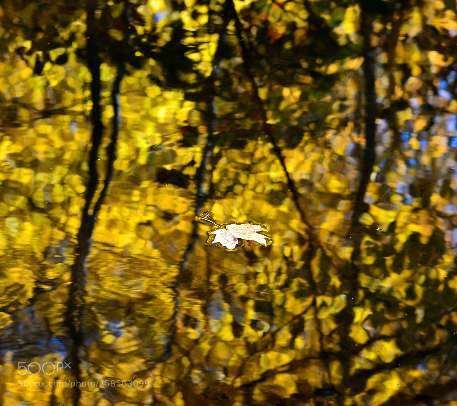 Nikon D600 sample photo. Reflections photography
