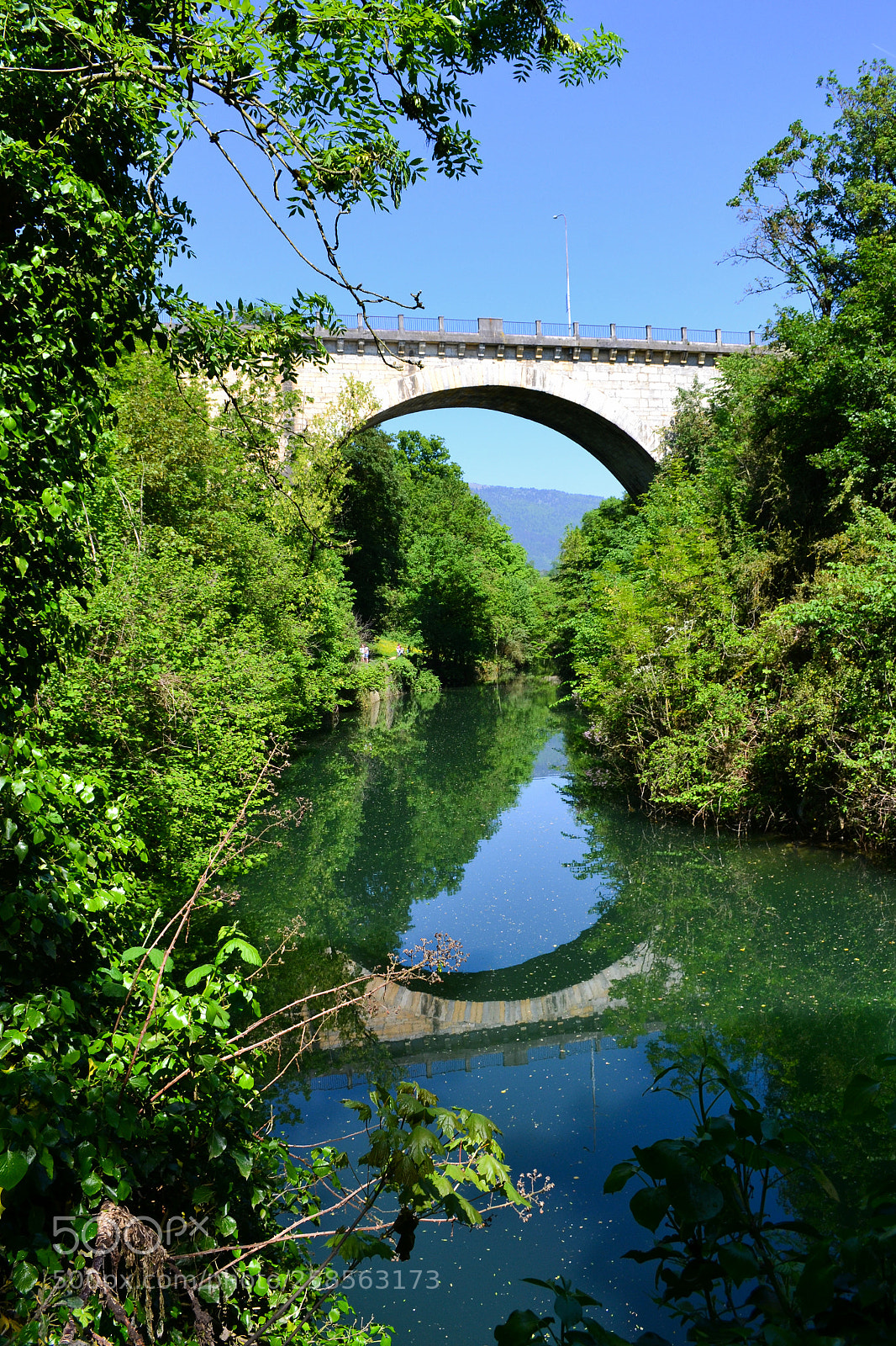 Nikon D3100 sample photo. Bridge photography
