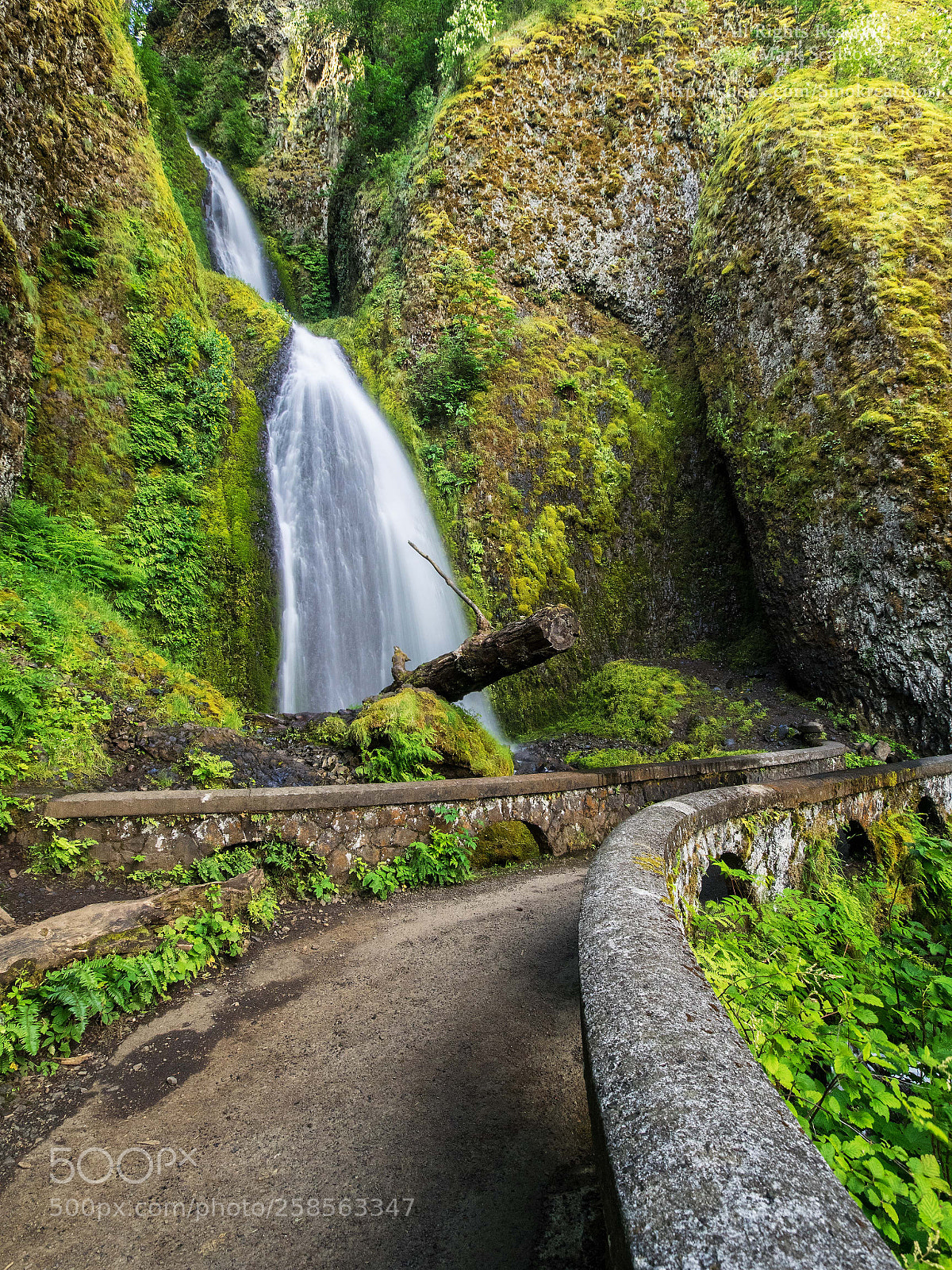 Olympus OM-D E-M1 sample photo. Wahkeena falls 3 photography