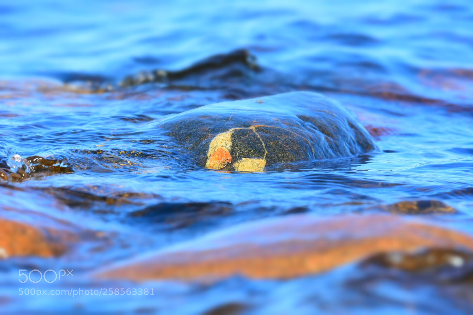 Nikon D7200 sample photo. Open water  photography