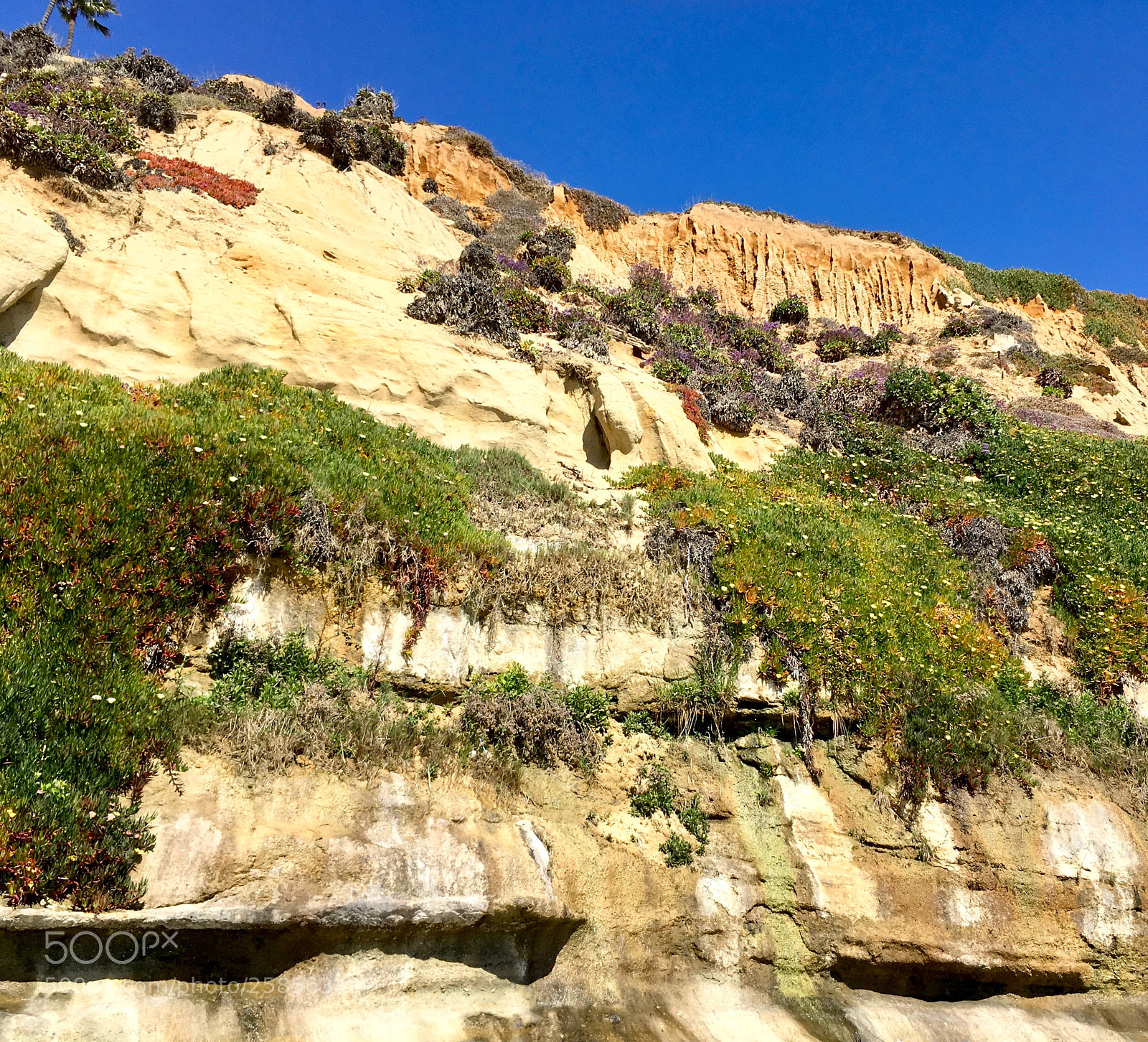 Apple iPhone SE sample photo. Cliffside photography