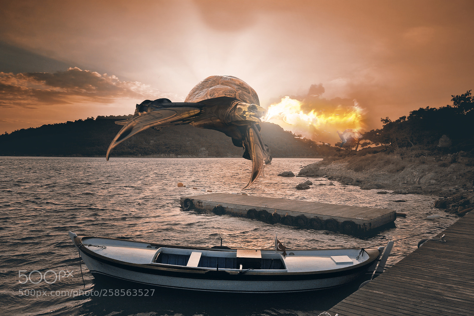 Sony a7R II sample photo. Game of the turtle photography