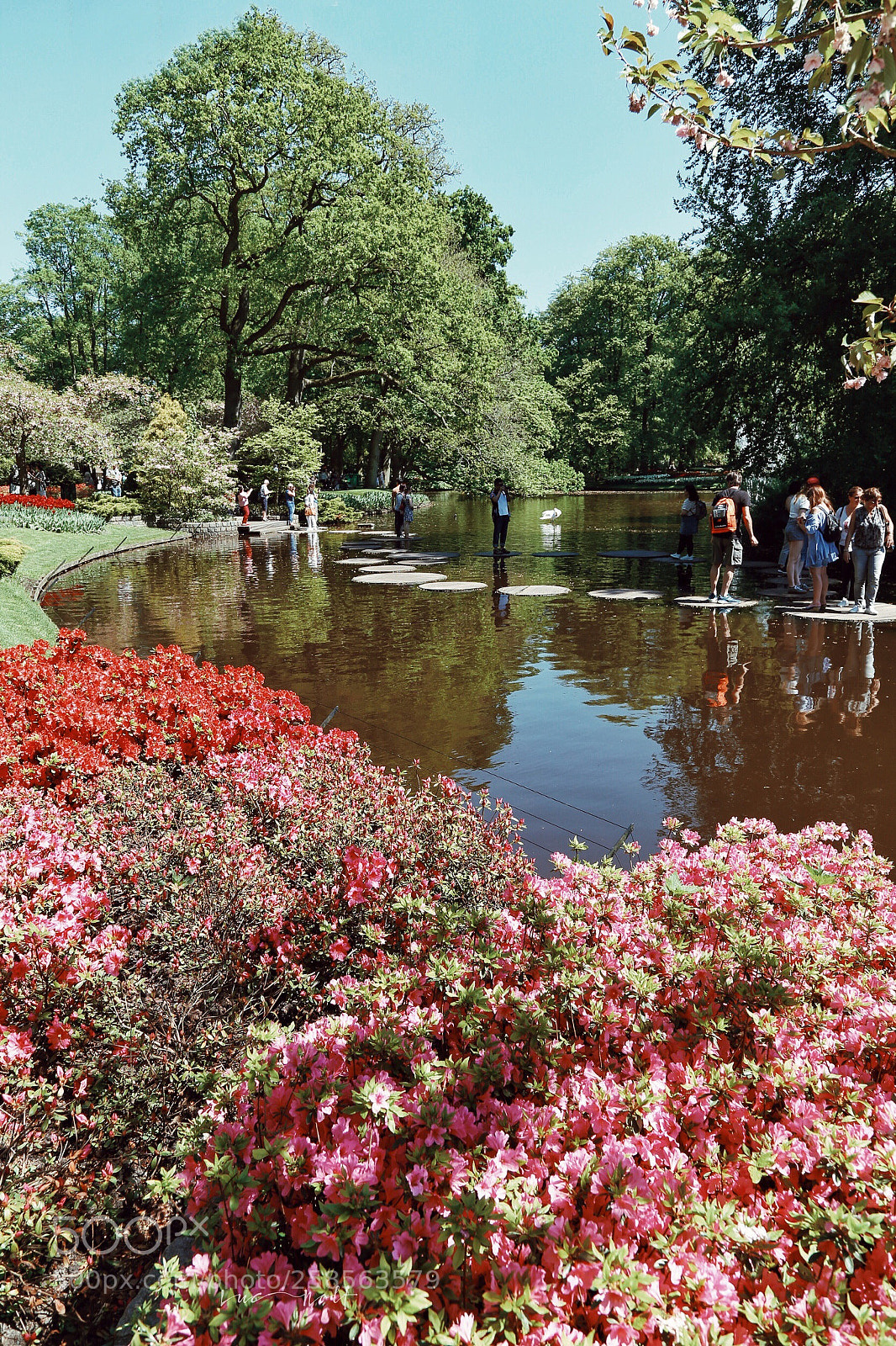 Canon EOS 6D sample photo. Keukenhof - walking on photography