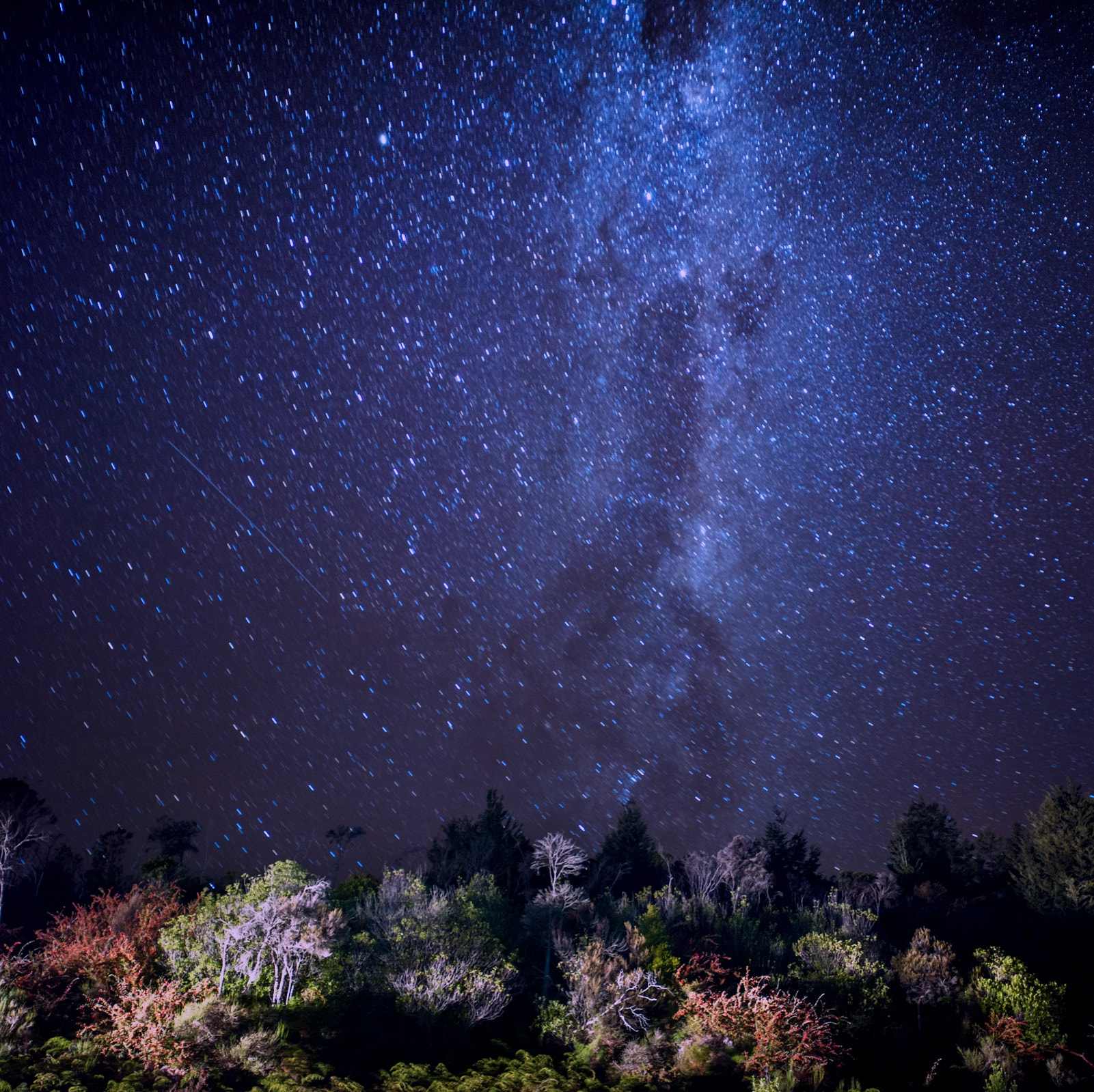 Hasselblad X1D-50c sample photo. Milky way under the sea photography