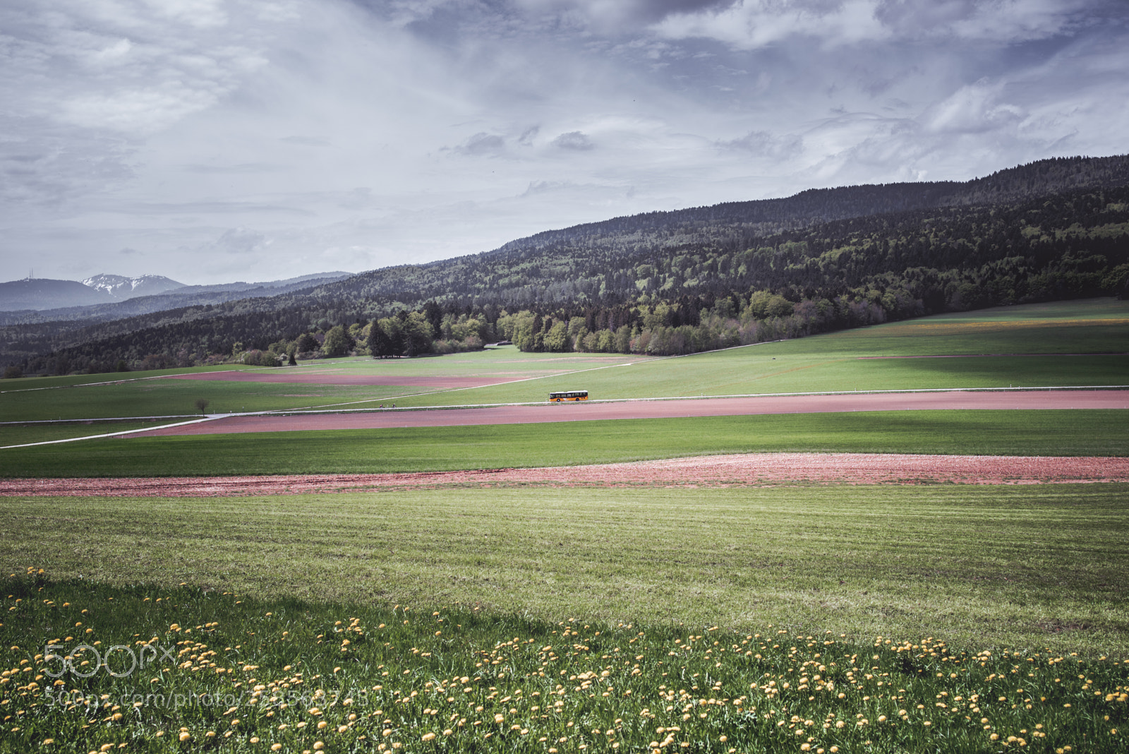 Nikon D750 sample photo. Swiss countryside photography