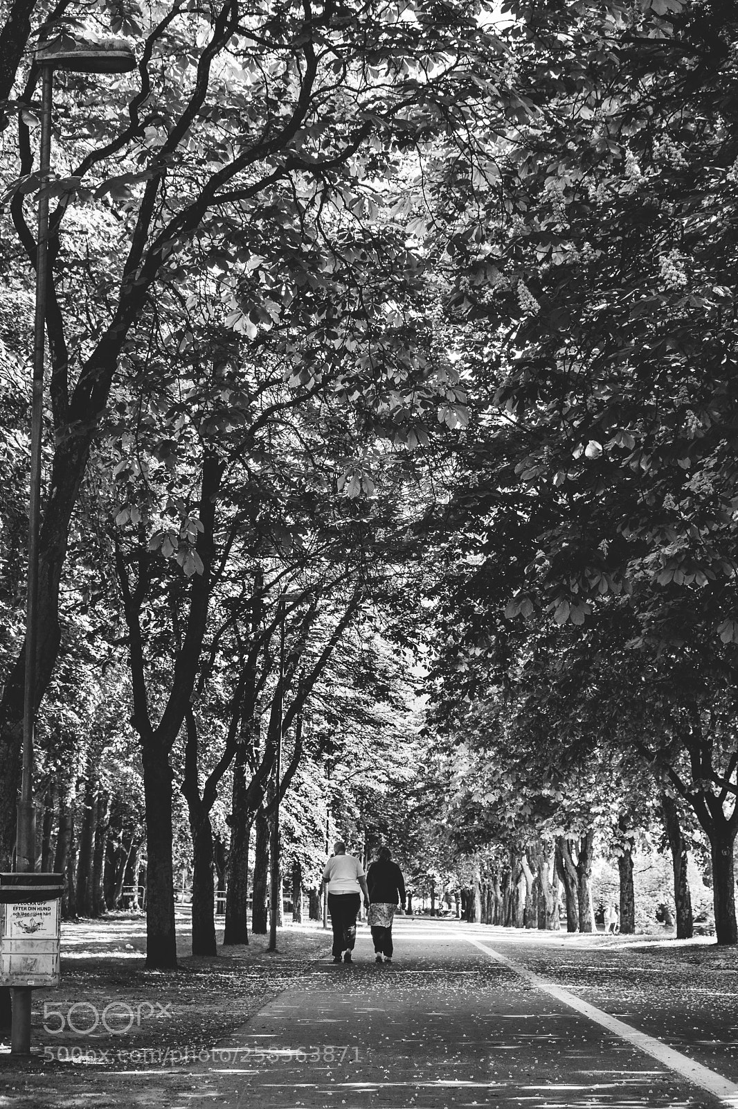 Fujifilm X-T20 sample photo. Strolling photography