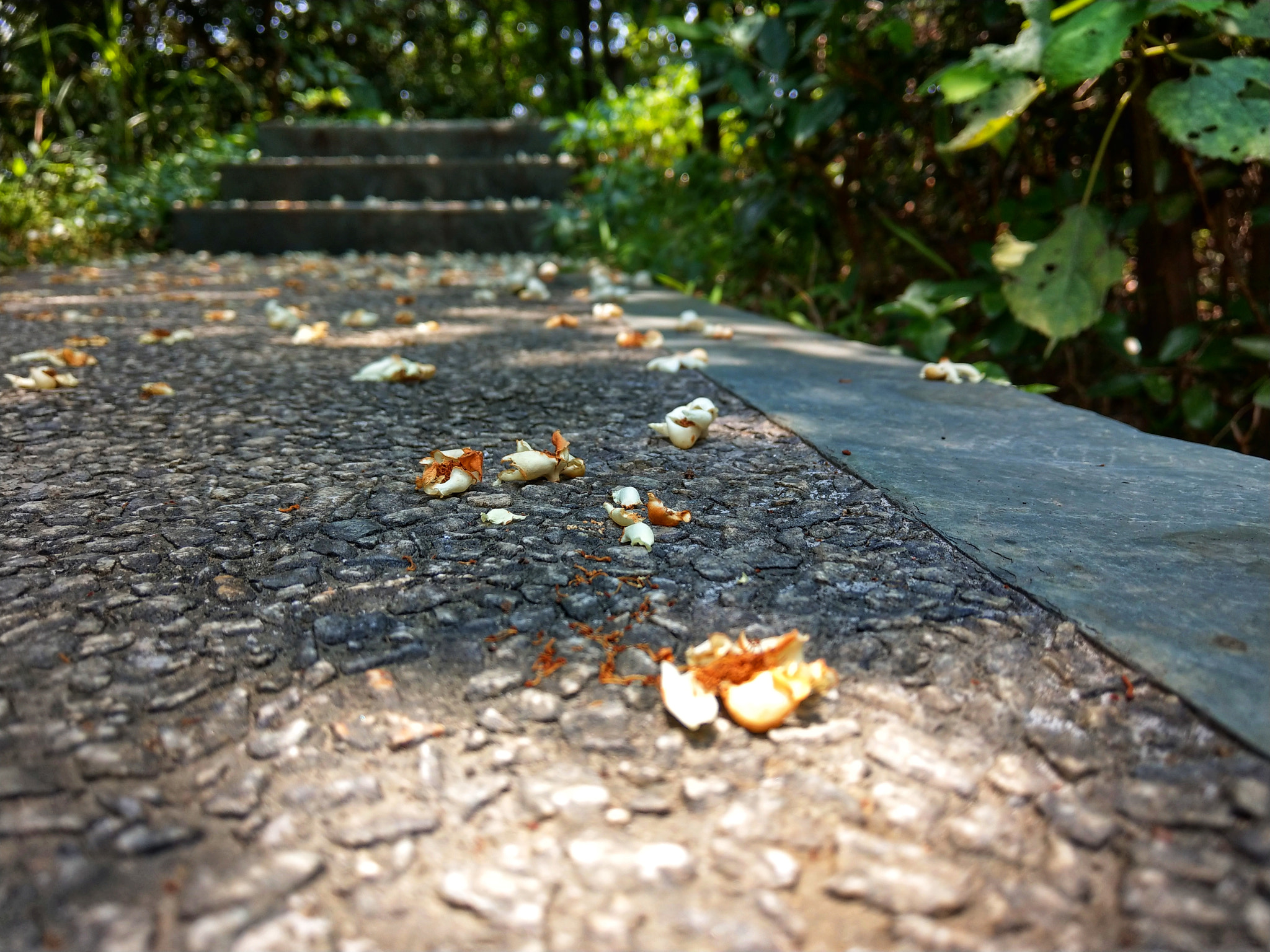 HTC U11 sample photo. Untitled photography