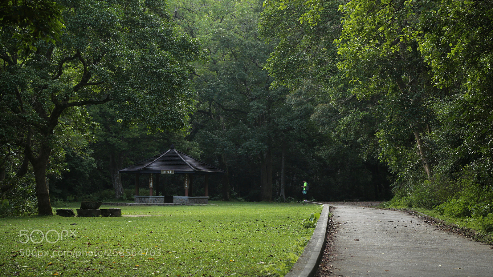 Canon EOS 6D sample photo. Wonderland in hk photography