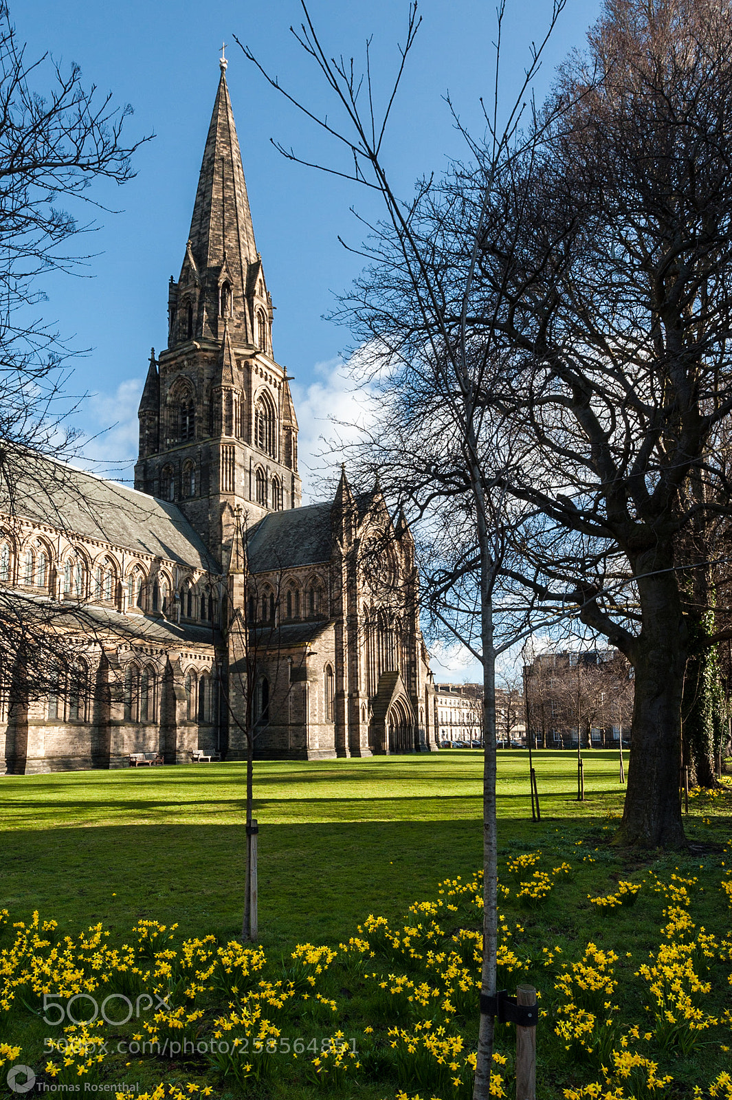 Nikon D700 sample photo. St. mary's cathedral photography