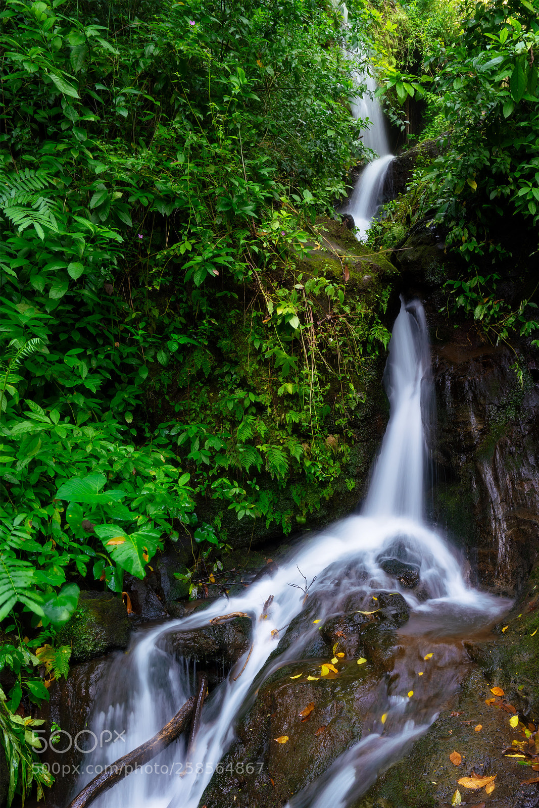 Sony a7R III sample photo. Sevelte photography