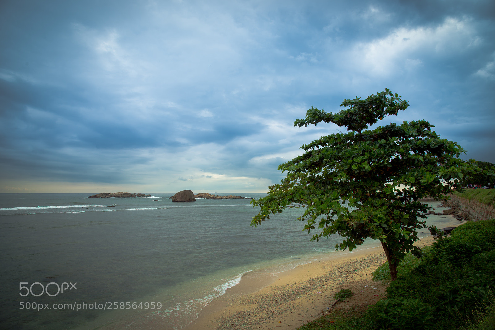 Nikon D610 sample photo. Between wind and water photography