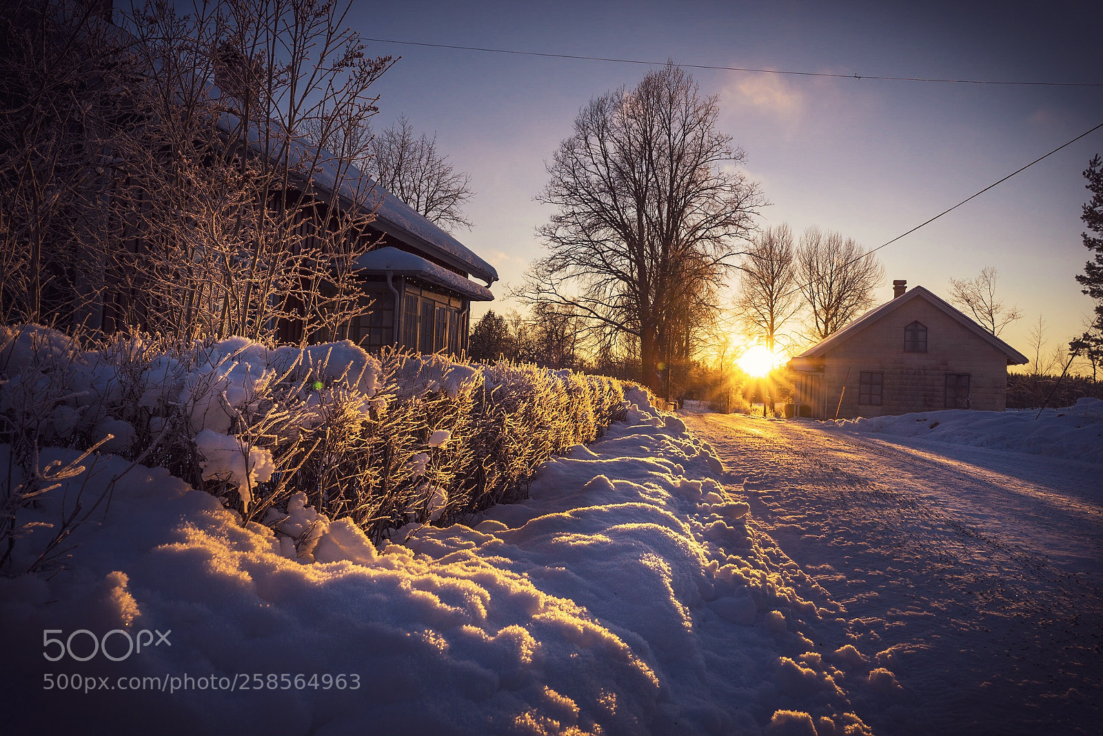 Sony a7R sample photo. Sunset  photography