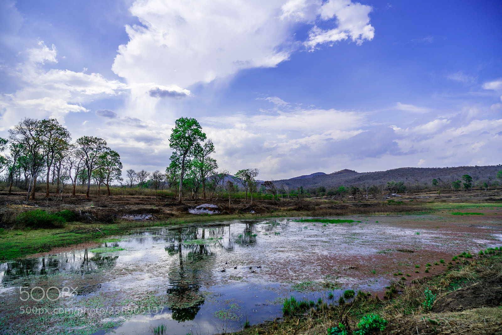 Sony a7R II sample photo. When sky reflect photography