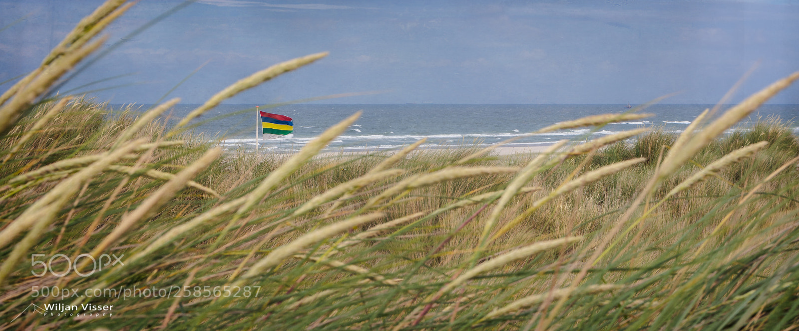 Pentax K-3 II sample photo. Terschelling photography